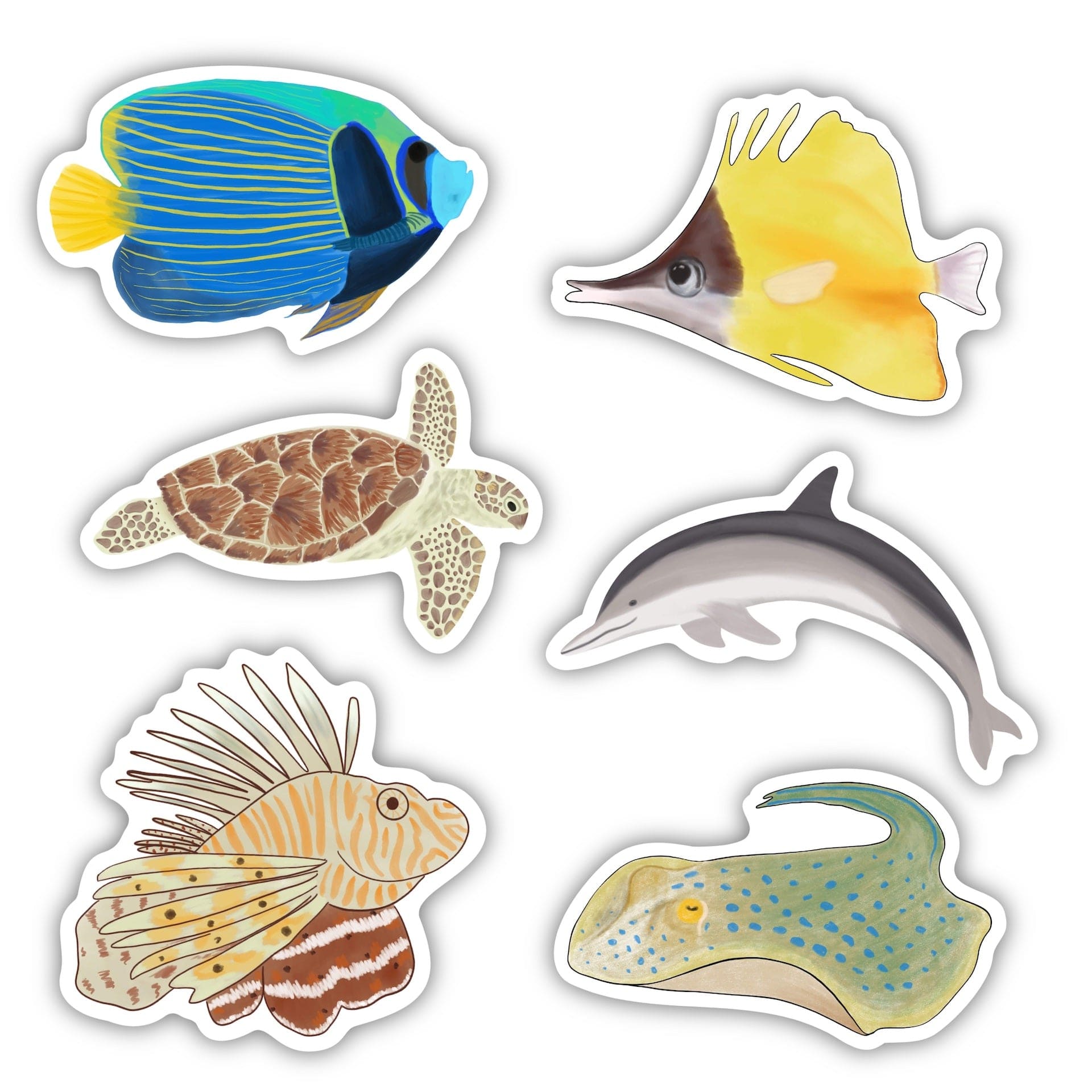  Tropical Fish 6 Pack、mySite、elrpsem3k