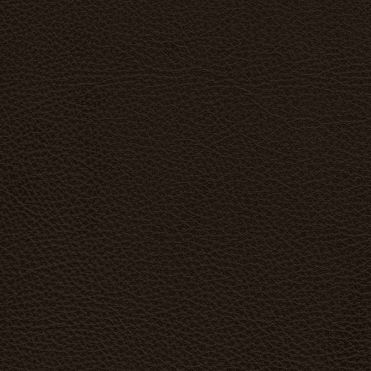 Chocolate、mySite、neckold