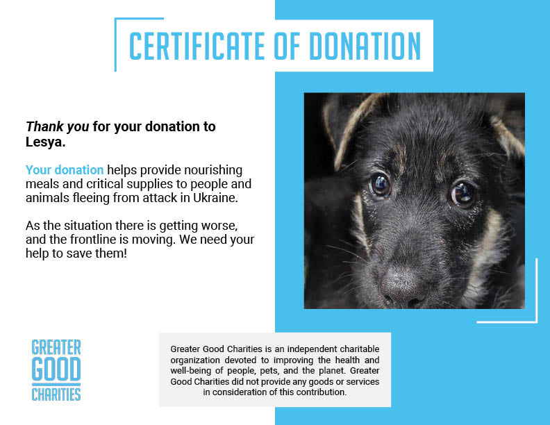Funded: Help Lesya and Her Puppies Recover from Malnutrition After Being Rescued from Frontlines、mySite、camillekostekn
