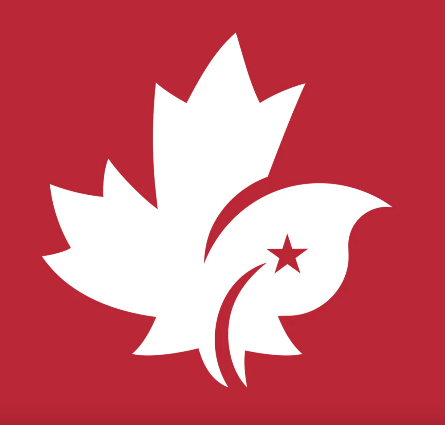 CDNIS Logo Baseball Cap、mySite、g9winljtr