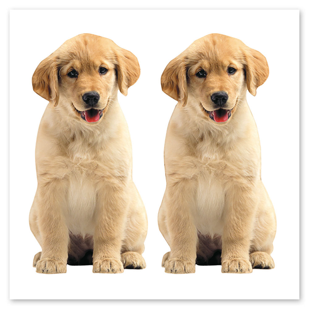  Golden Retriever Puppy Stickers、mySite、ghnorth