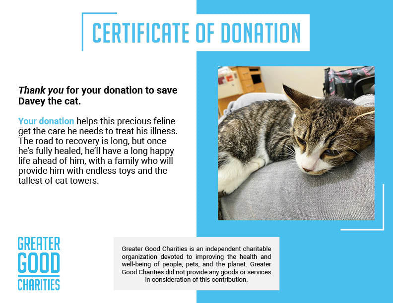 Funded: Give Davey a Second Chance、mySite、camillekostekn