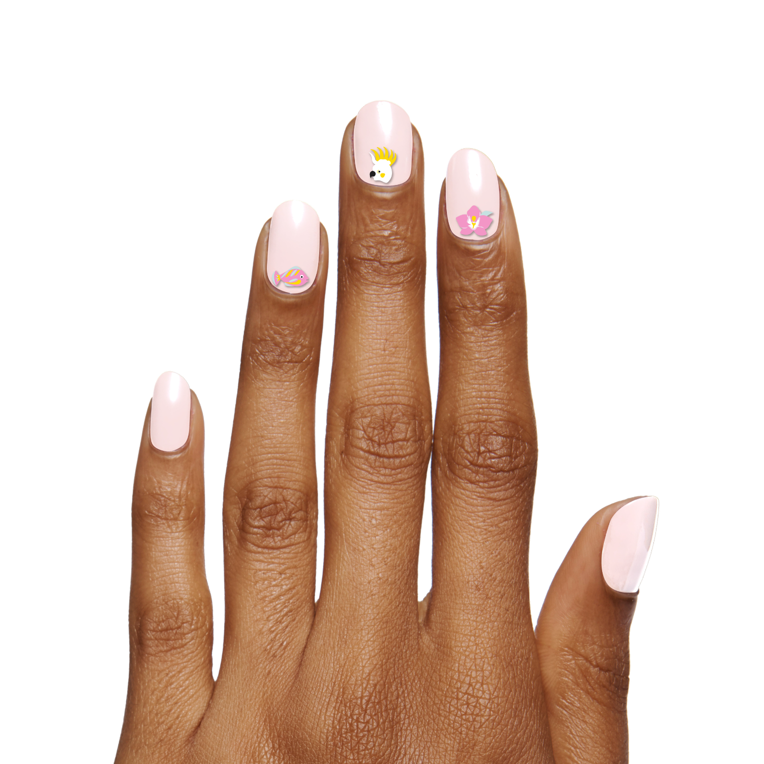 Nail Paradise、mySite、solidvoid