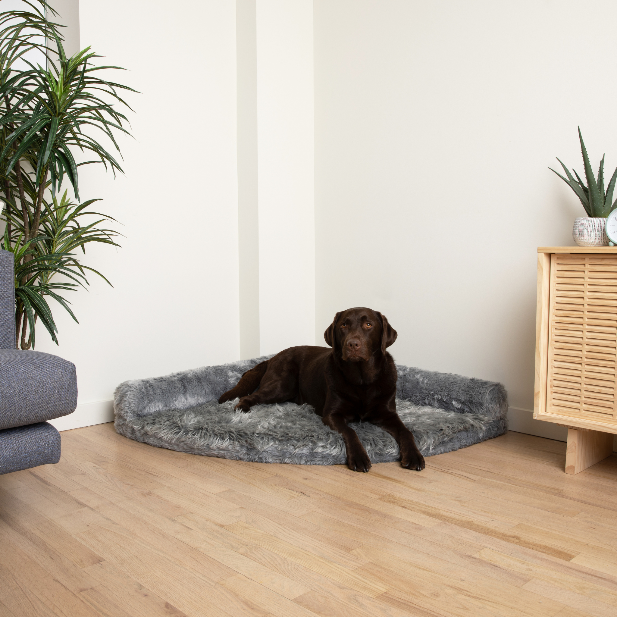 PupRug™ Memory Foam Corner Dog Bed - Charcoal Grey、mySite、solidvoid