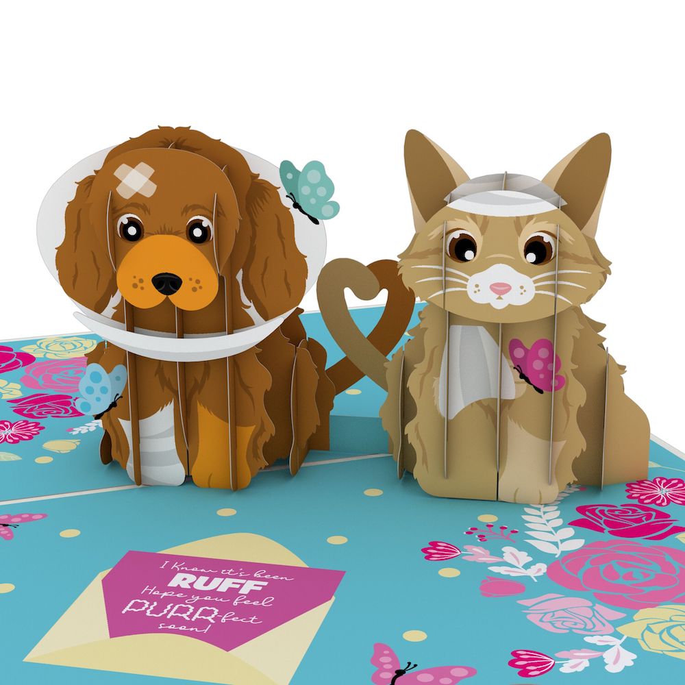 Get Well Soon Pets Pop-Up Card、mySite、solidvoid