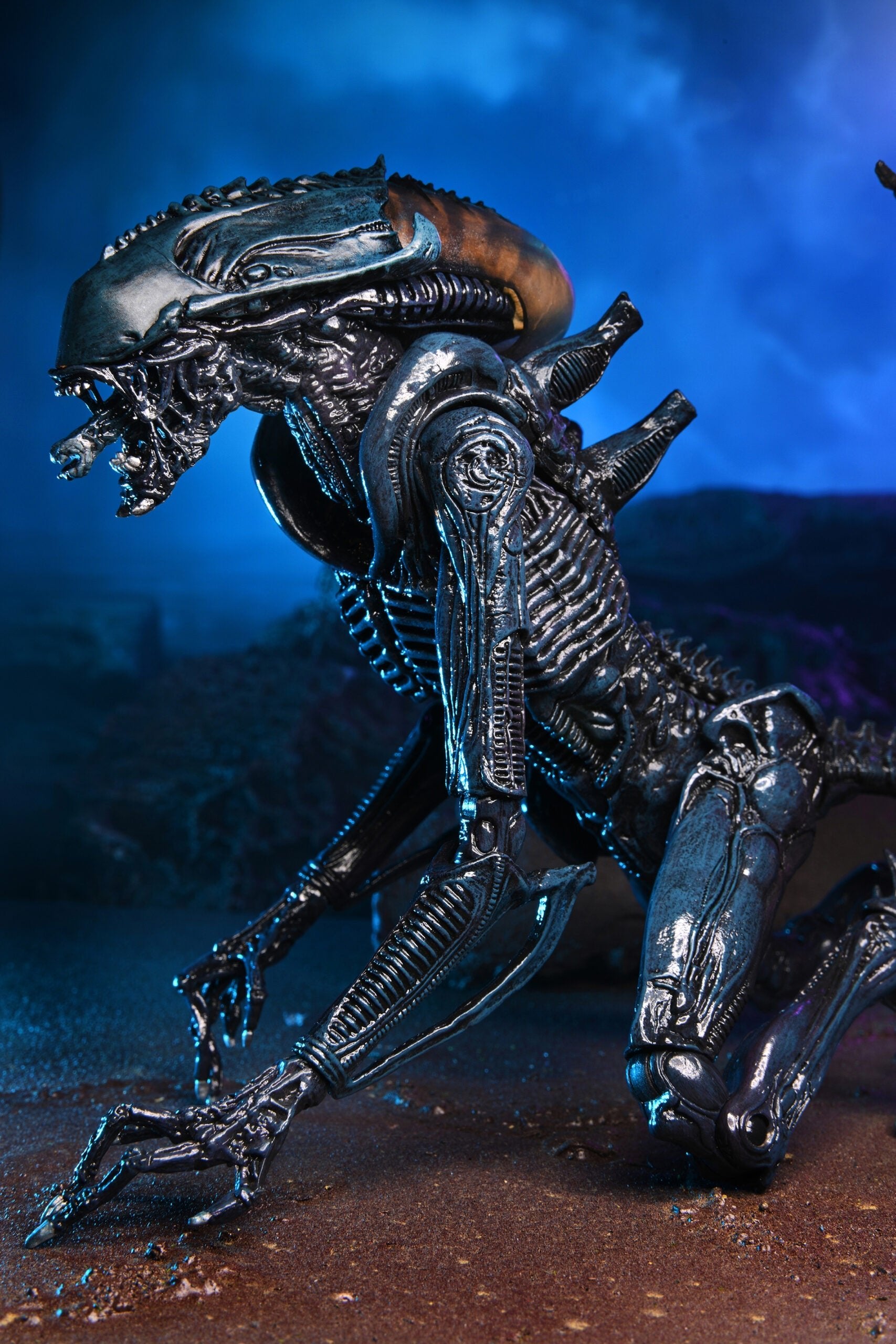NECA Alien vs. Predator Arachnoid (Movie Deco)、mySite、hgirdovlk