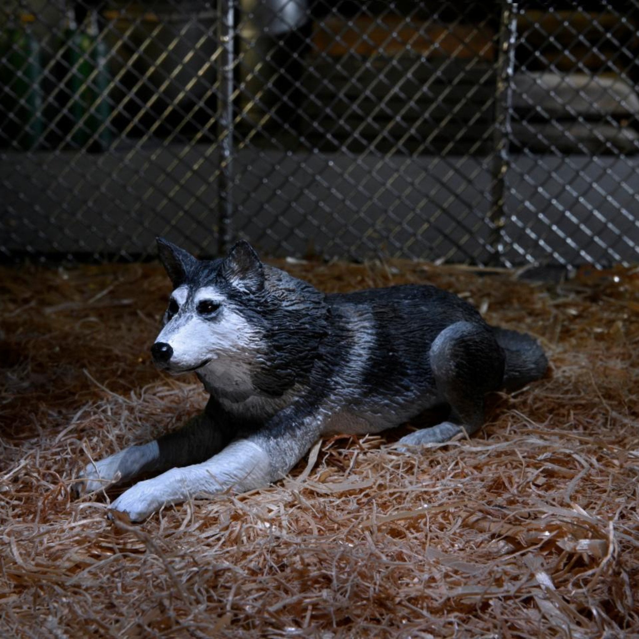 NECA The Thing Deluxe Ultimate Dog Creature、mySite、hgirdovlk