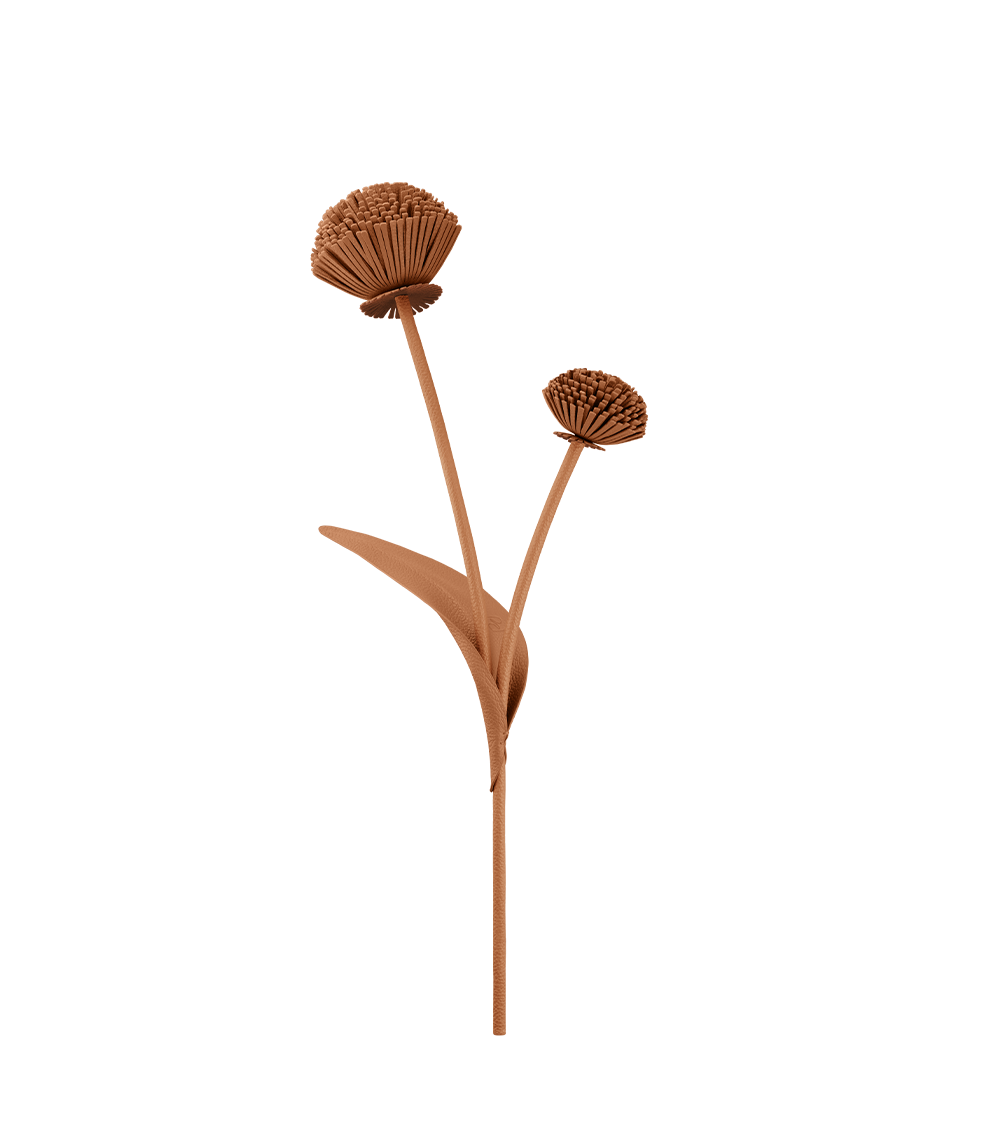 Fleur Tul - Duo Tan Grain茅、mySite、camillekostekn