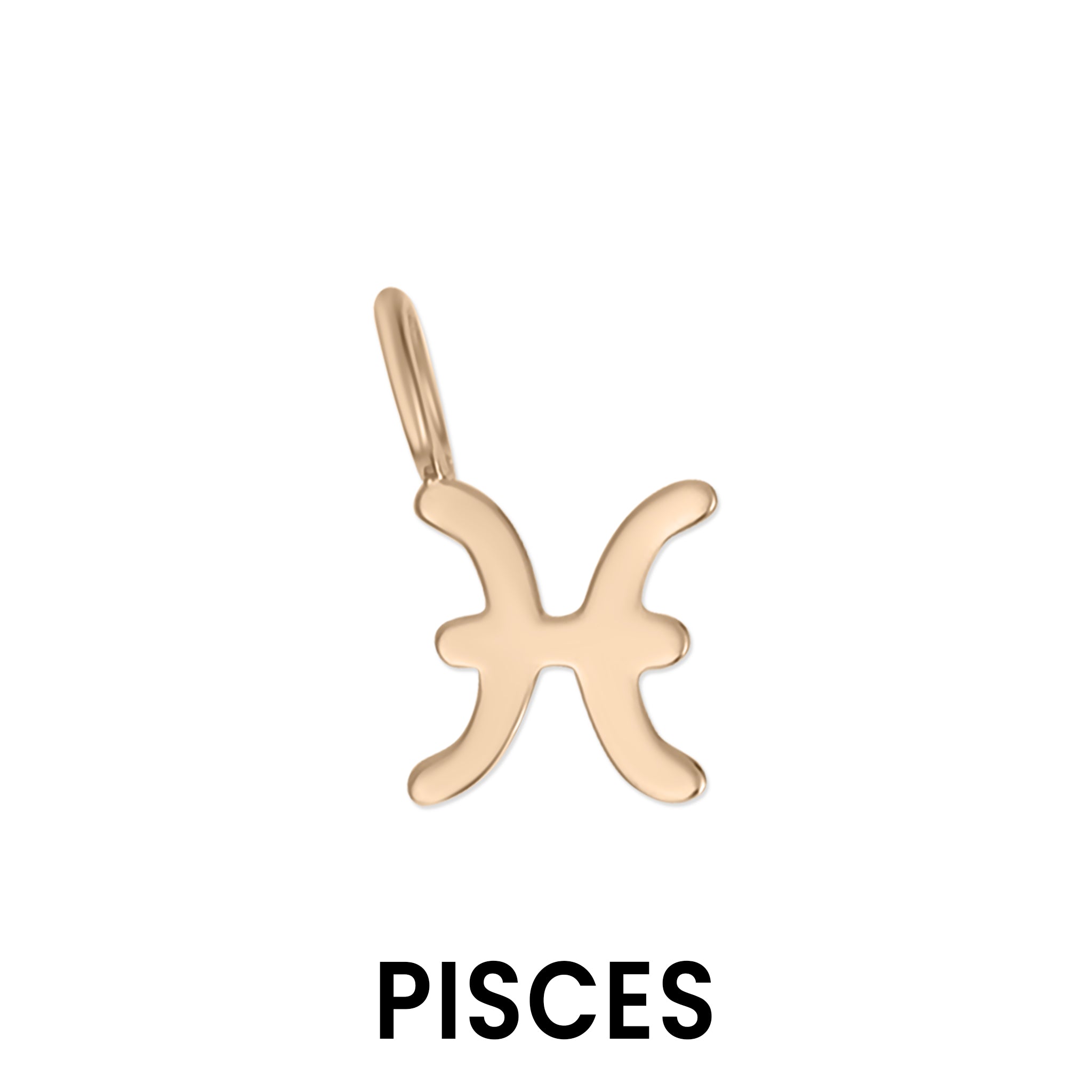 Permanent Jewelry 14K Solid Rose Gold Zodiac Charms / PMJ2009、mySite、dreamappss