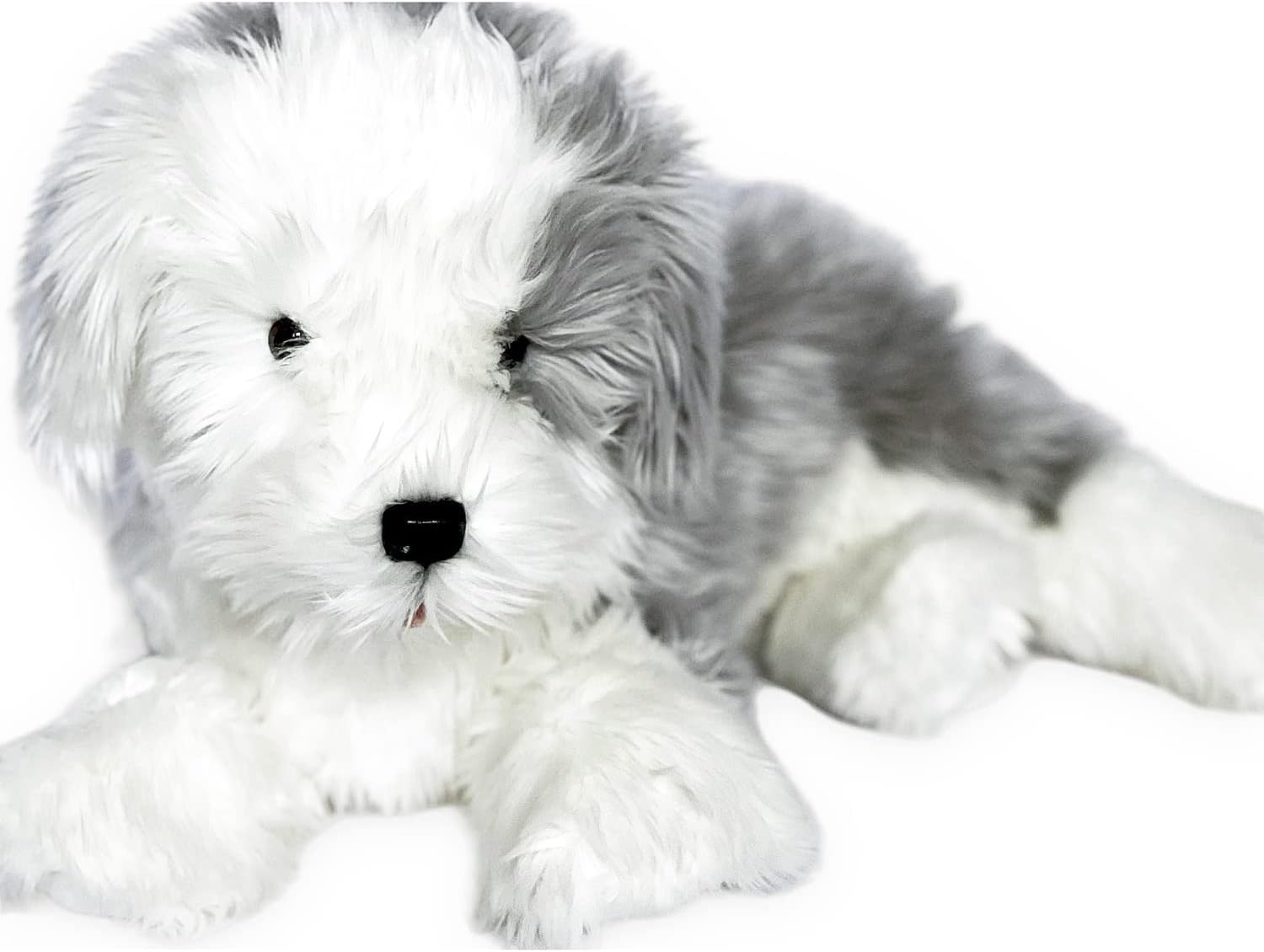 Plush Old English Sheepdog Large Size Realistic Beautiful Quality!、mySite、g9winljtr