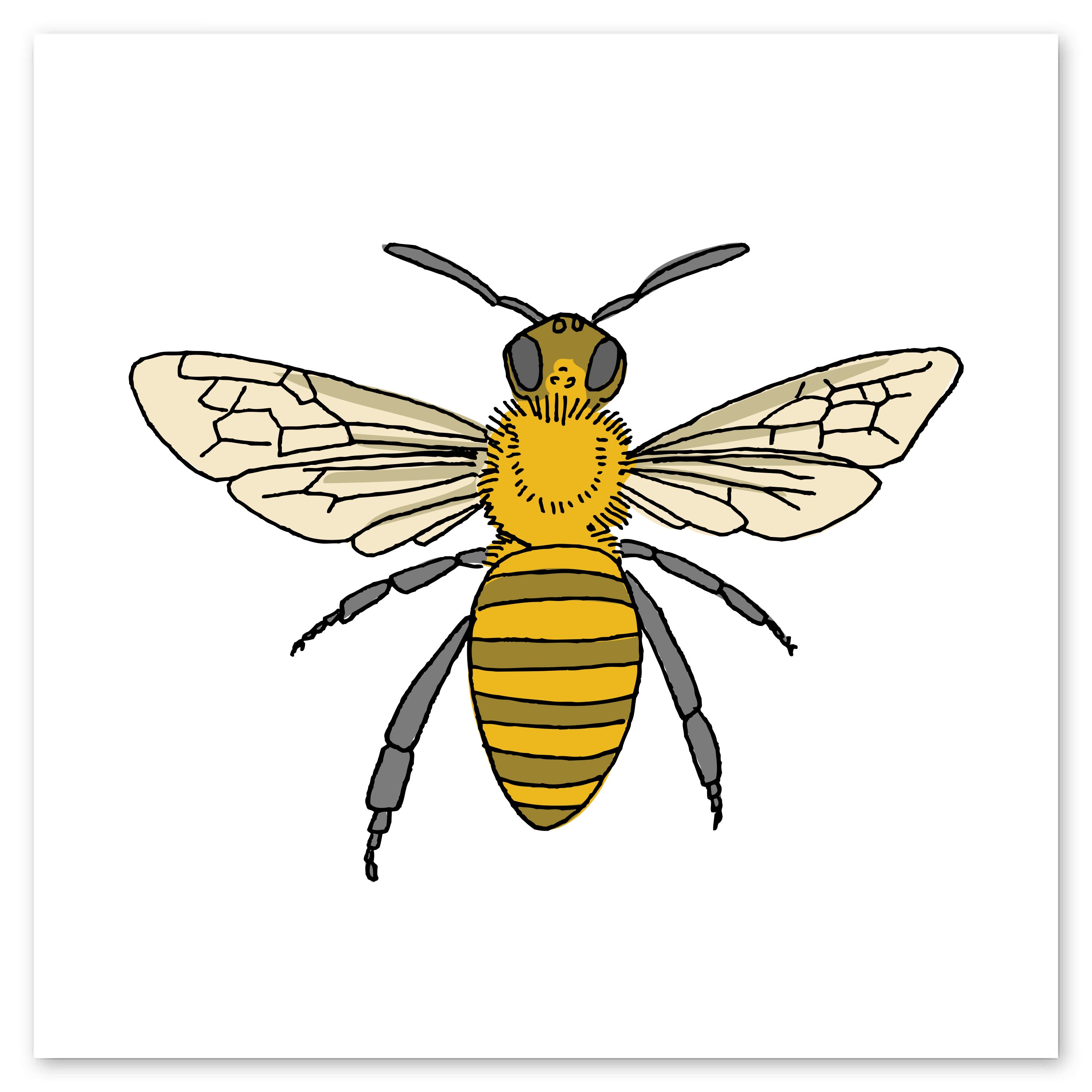  Honey Bee Tattly Temporary Tattoos、mySite、ghnorth