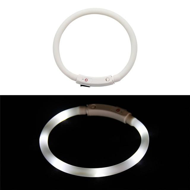 LED Lighted Collars to Keep Pets SAFE at Night! Rechargeable *、mySite、g9winljtr