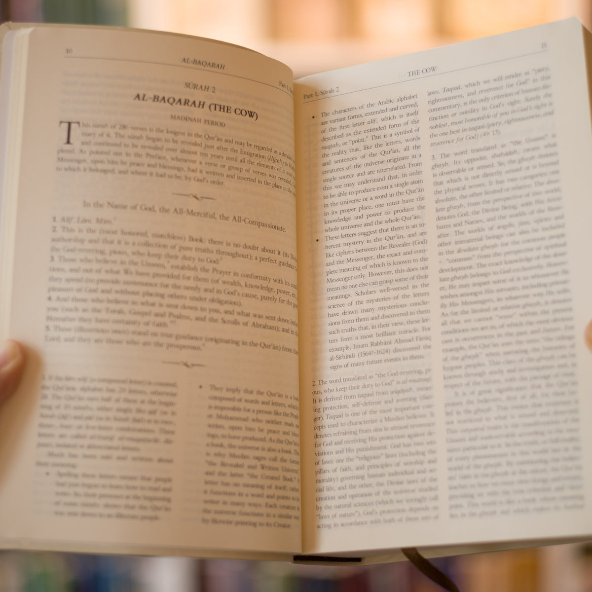 The Qur'an With Annotated Interpretation in Modern English、mySite、topwebapps