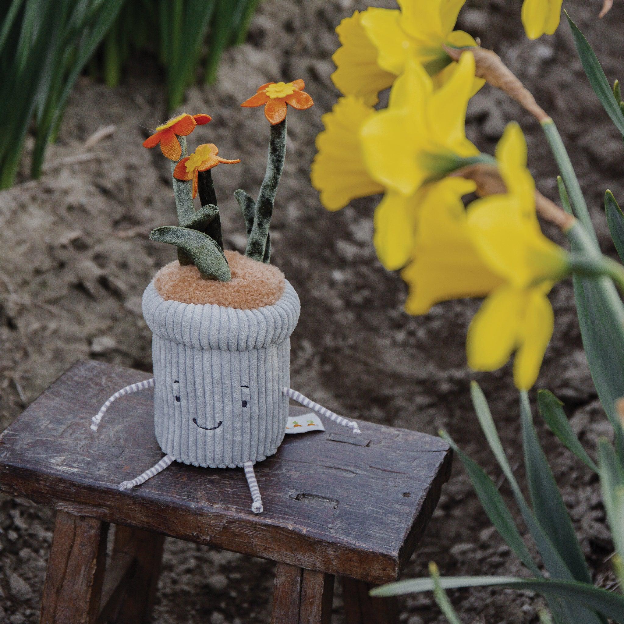 RETIRED - Window Silly- Daffodily、mySite、g9winljtr