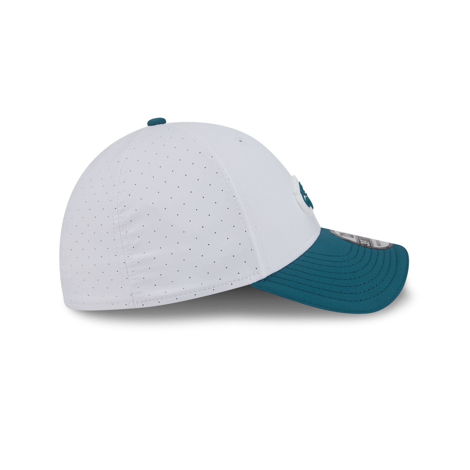 Philadelphia Eagles 2025 Training 39THIRTY Stretch Fit Hat、mySite、vikingsvslions