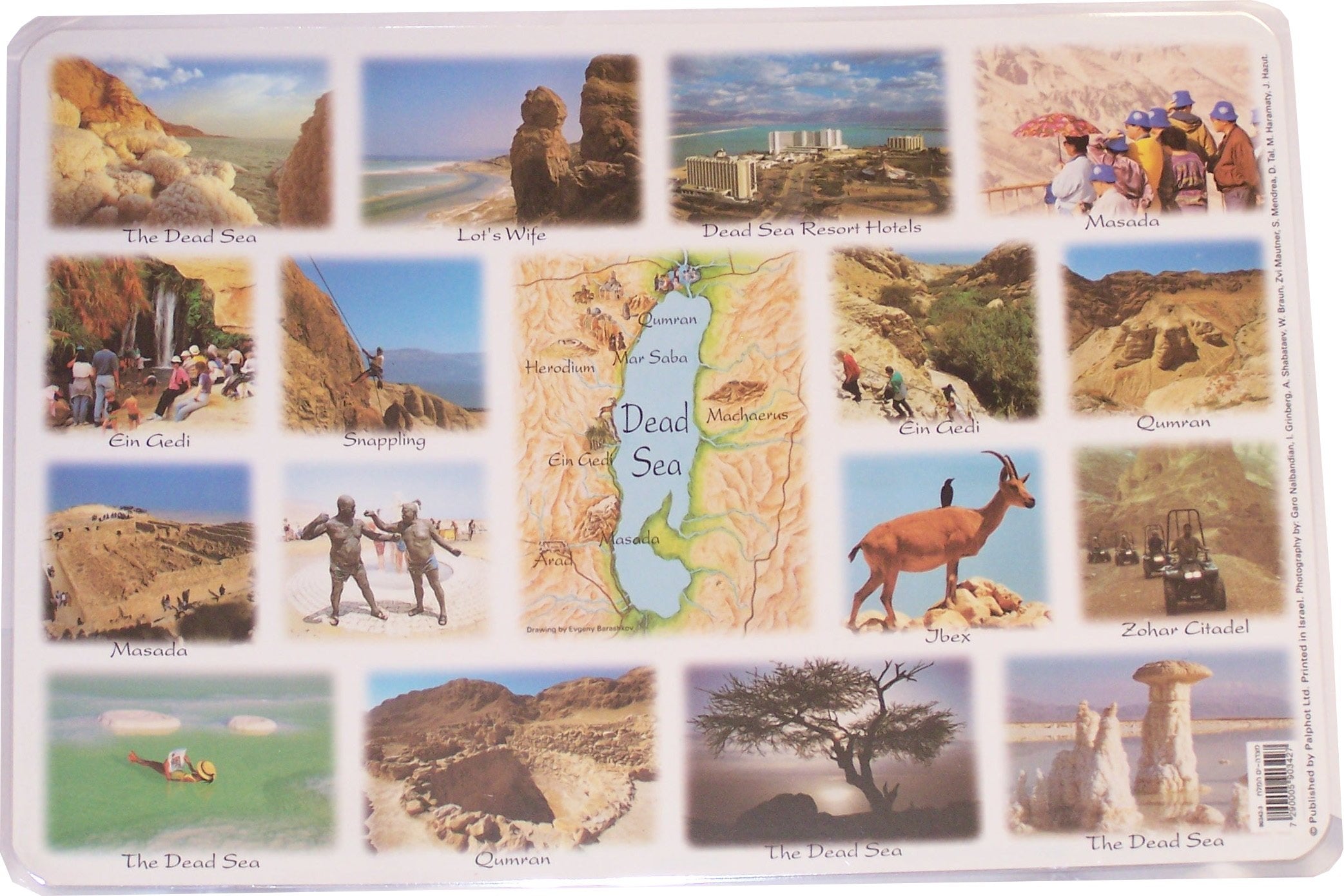  Holy Land Market Biblical Poster- Masada and the dead Sea Sites - Laminated (42x30 cm or 16.5x11.8 inches)、mySite、elrpsem3k