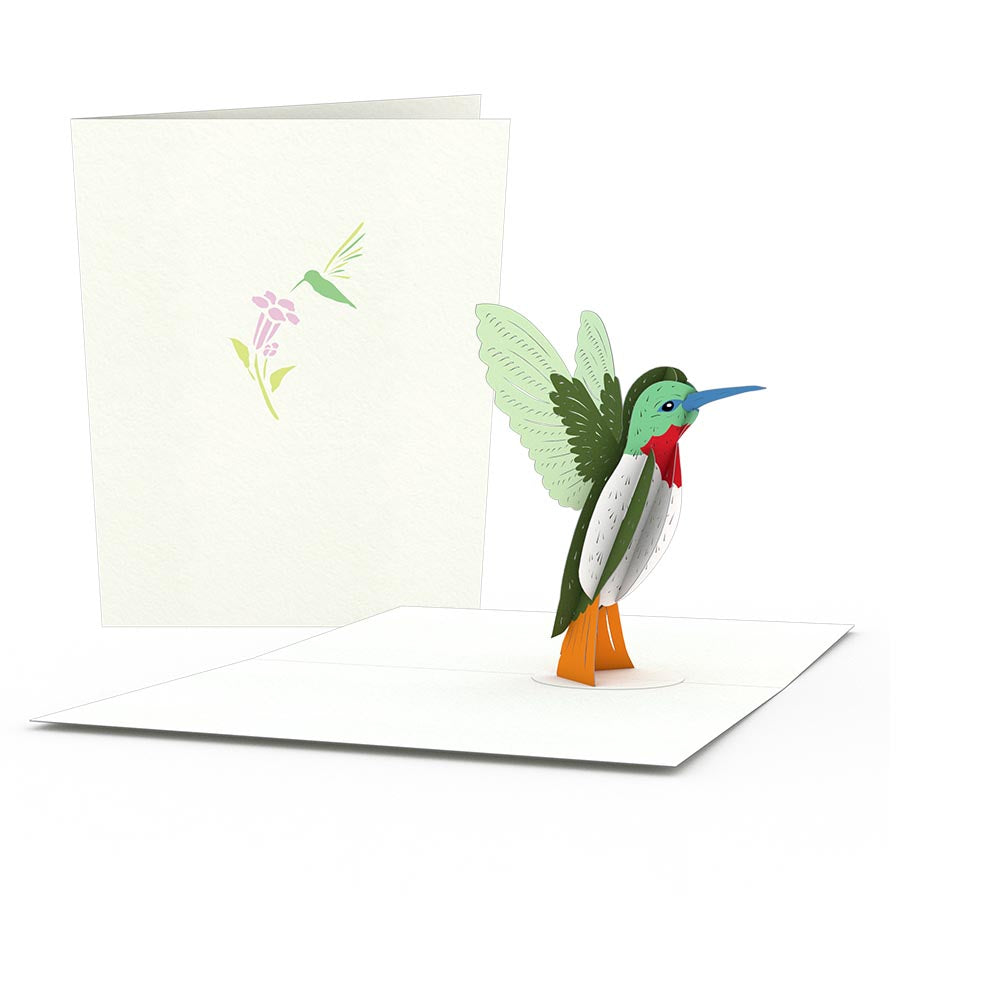 Hummingbird Notecards (4-Pack)、mySite、solidvoid