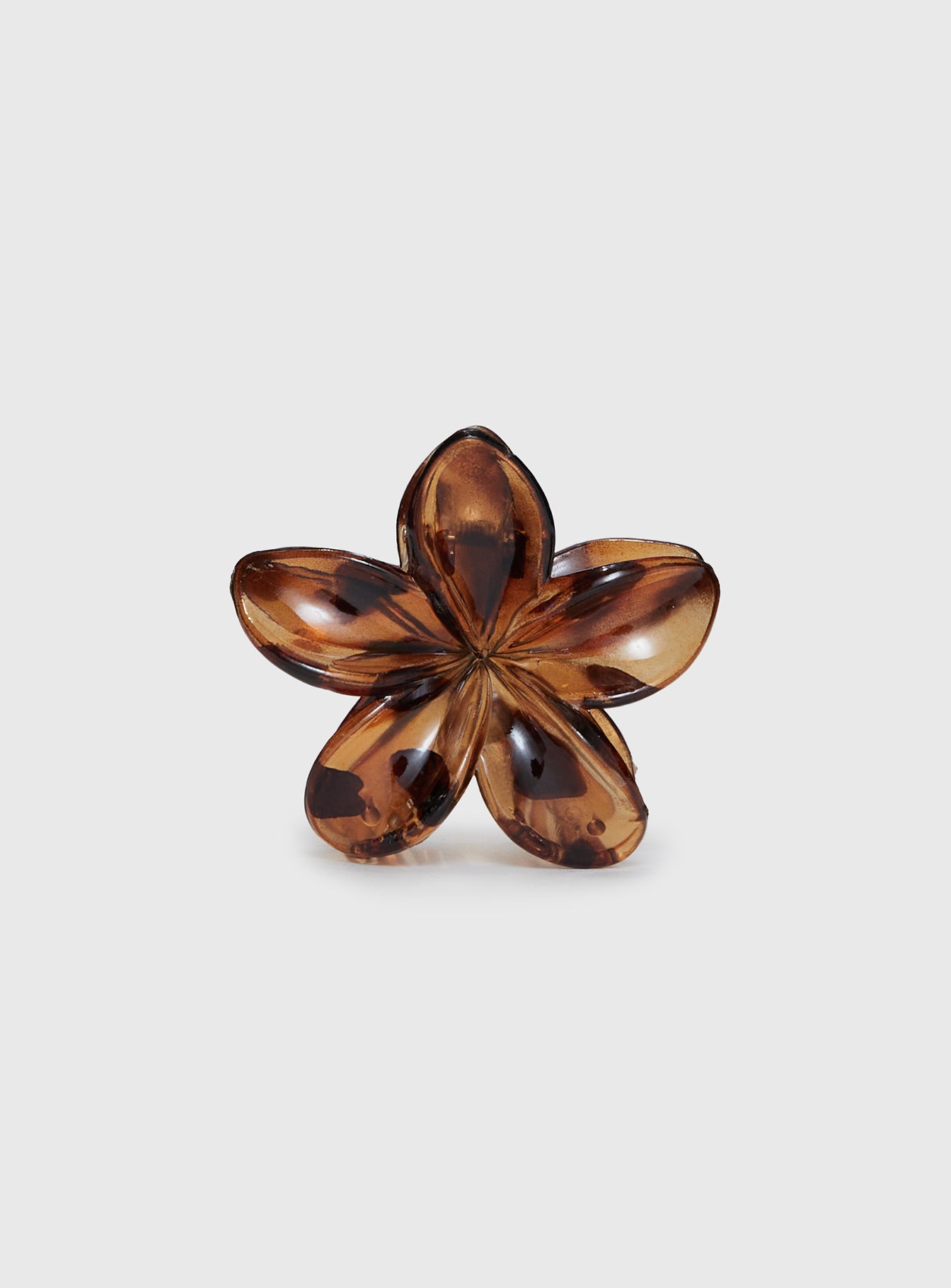 Glimmering Clip Tort、mySite、solidvoid