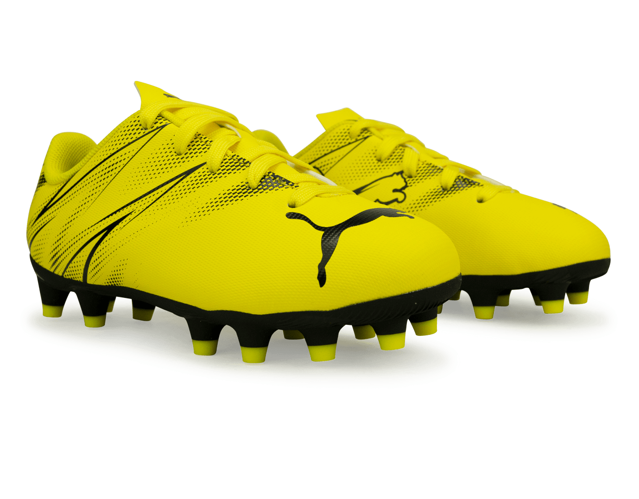 PUMA Kids Attacanto FG/AG Yellow/Black、mySite、bottomscart