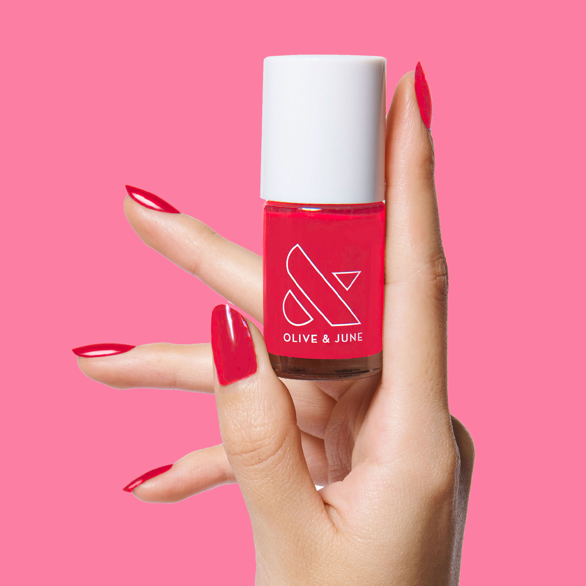 Hibiscus、mySite、solidvoid