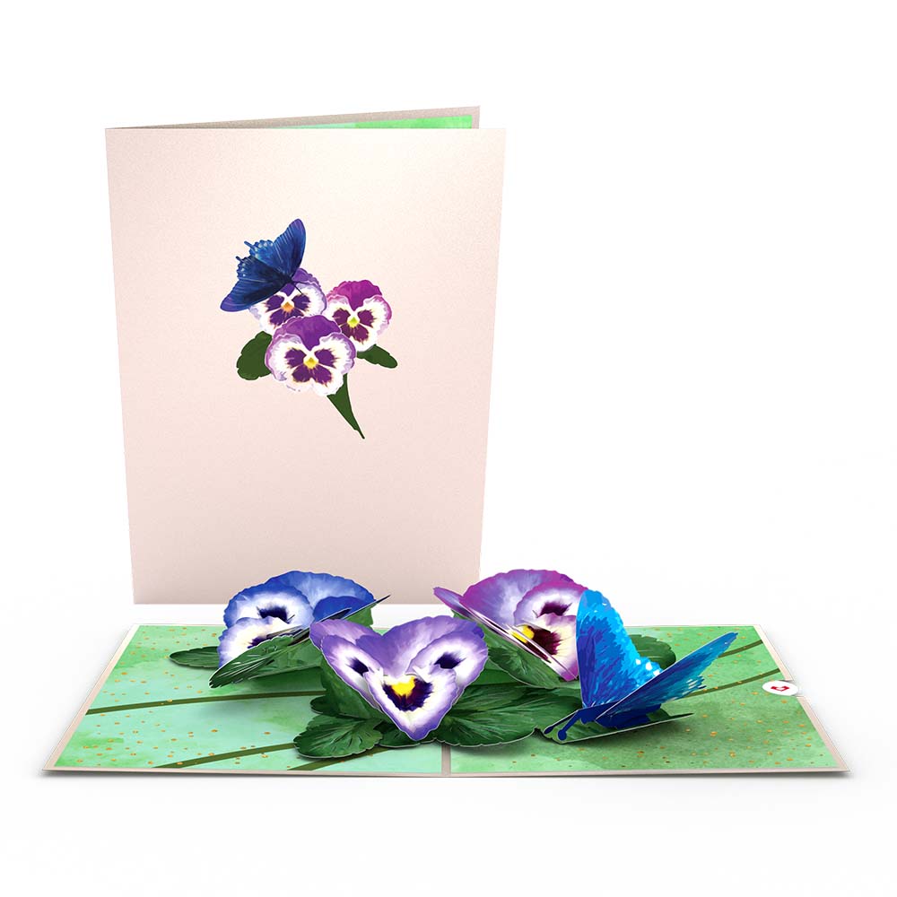 Garden 12-Pack、mySite、solidvoid