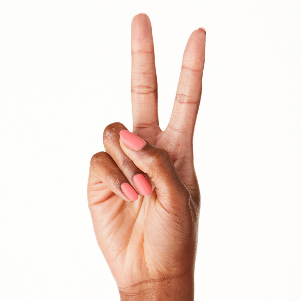 Stinson Sunset、mySite、solidvoid