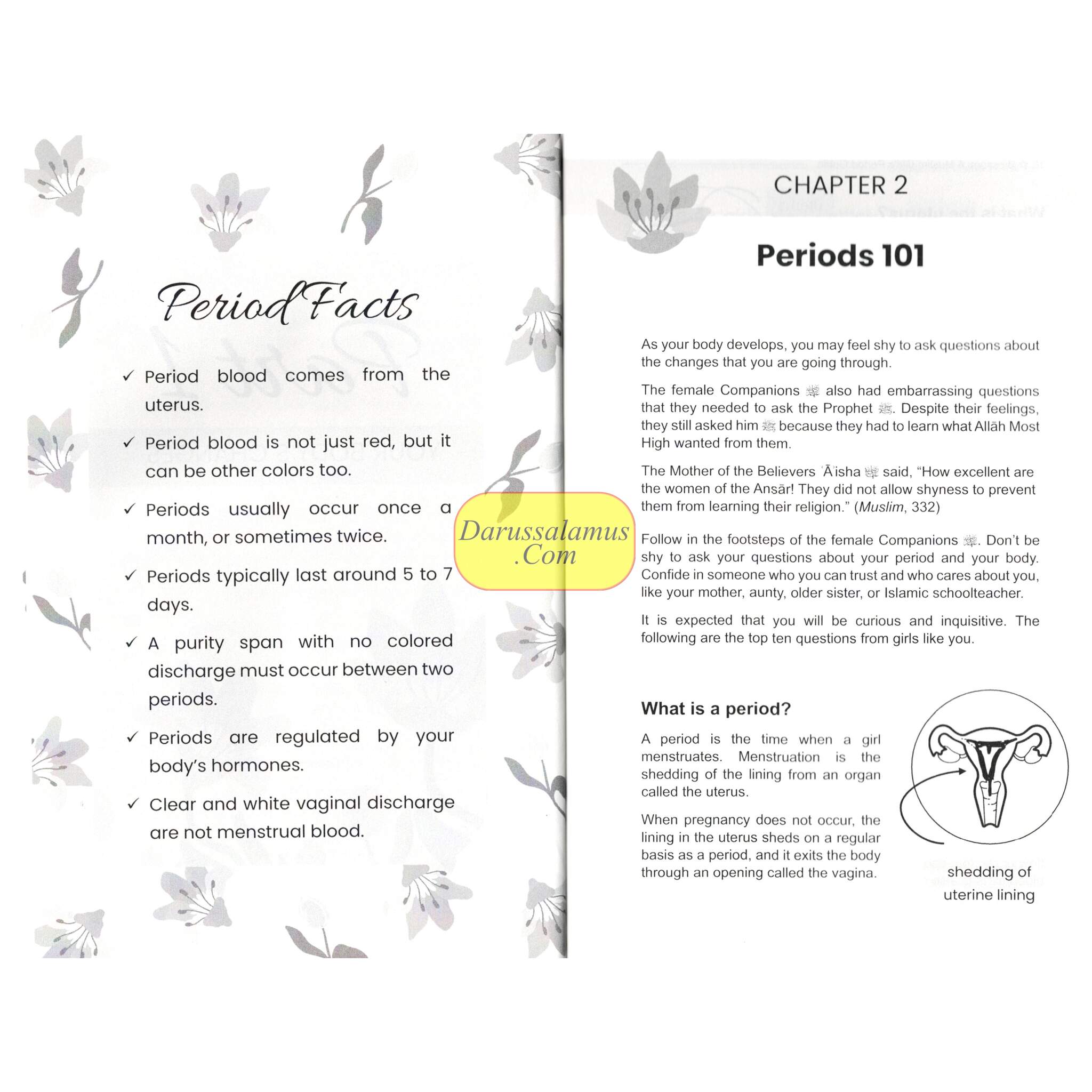 Blossom: A Muslim Girl's Period Guide by Naielah Ackbarali、mySite、topwebapps