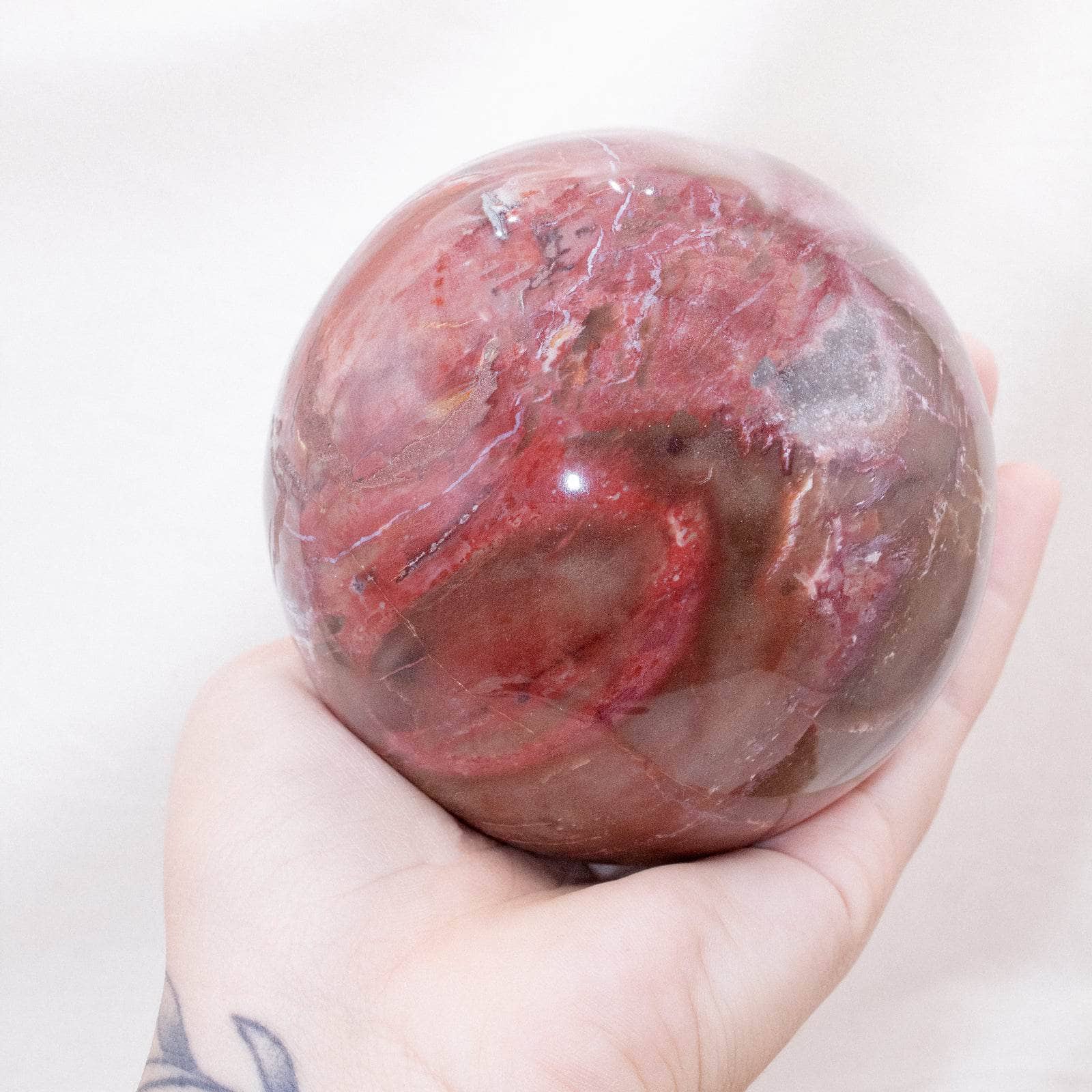 Petrified Wood Sphere - AAA Premium Quality、mySite、hinf8tx79