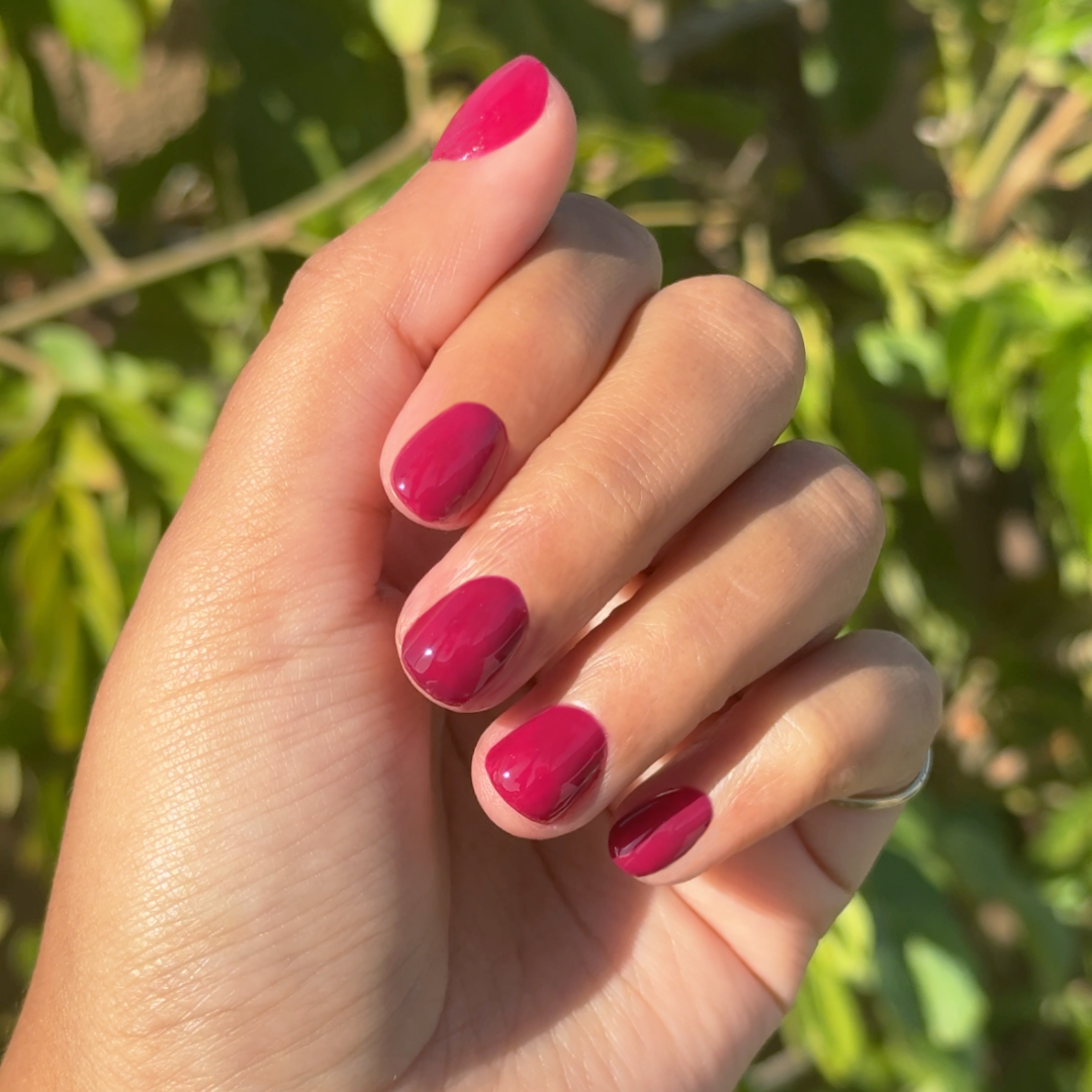 Mulberry、mySite、solidvoid