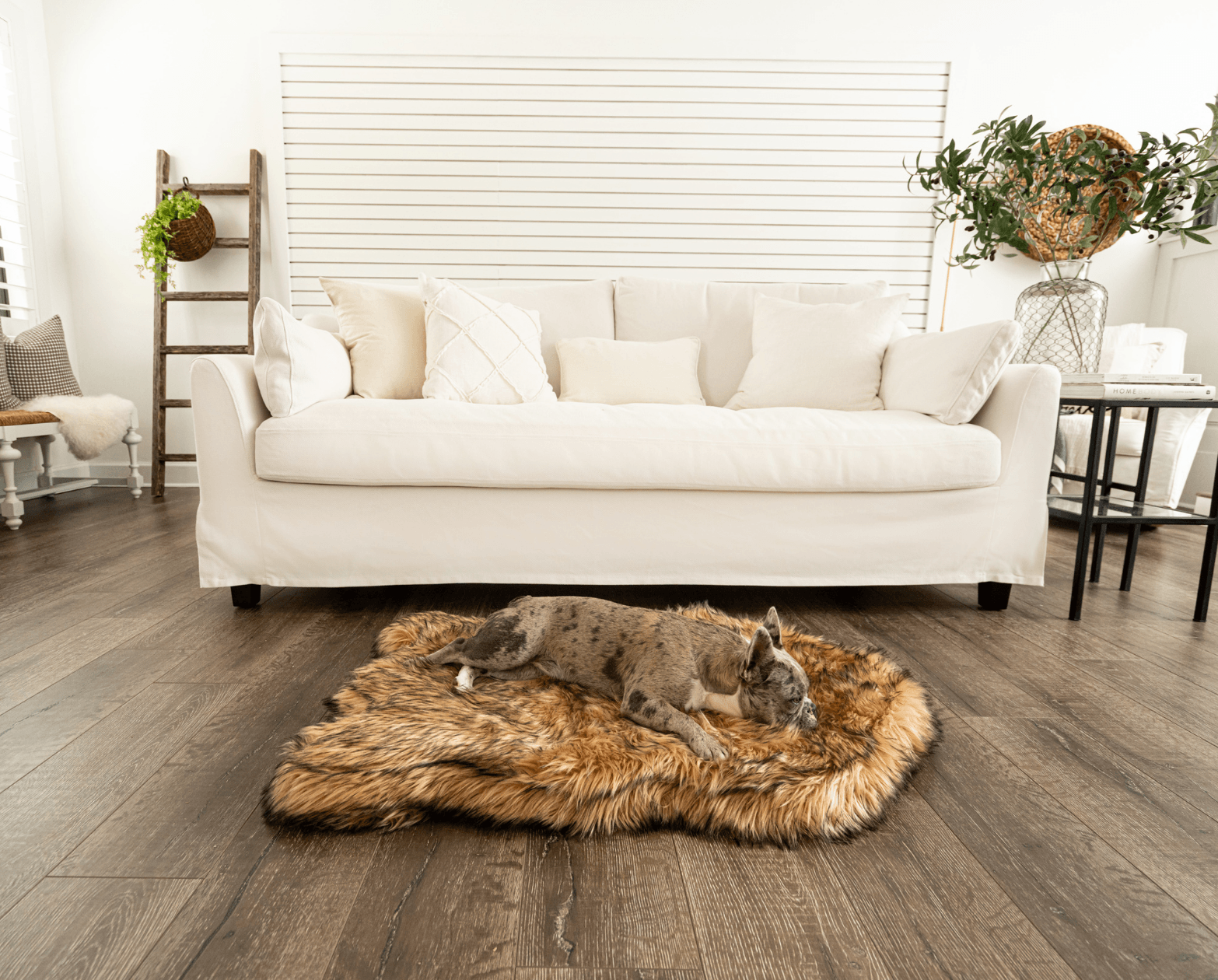 Paw.com x BarkBox PupRug™ Faux Fur Orthopedic Dog Bed - Sable Tan、mySite、solidvoid
