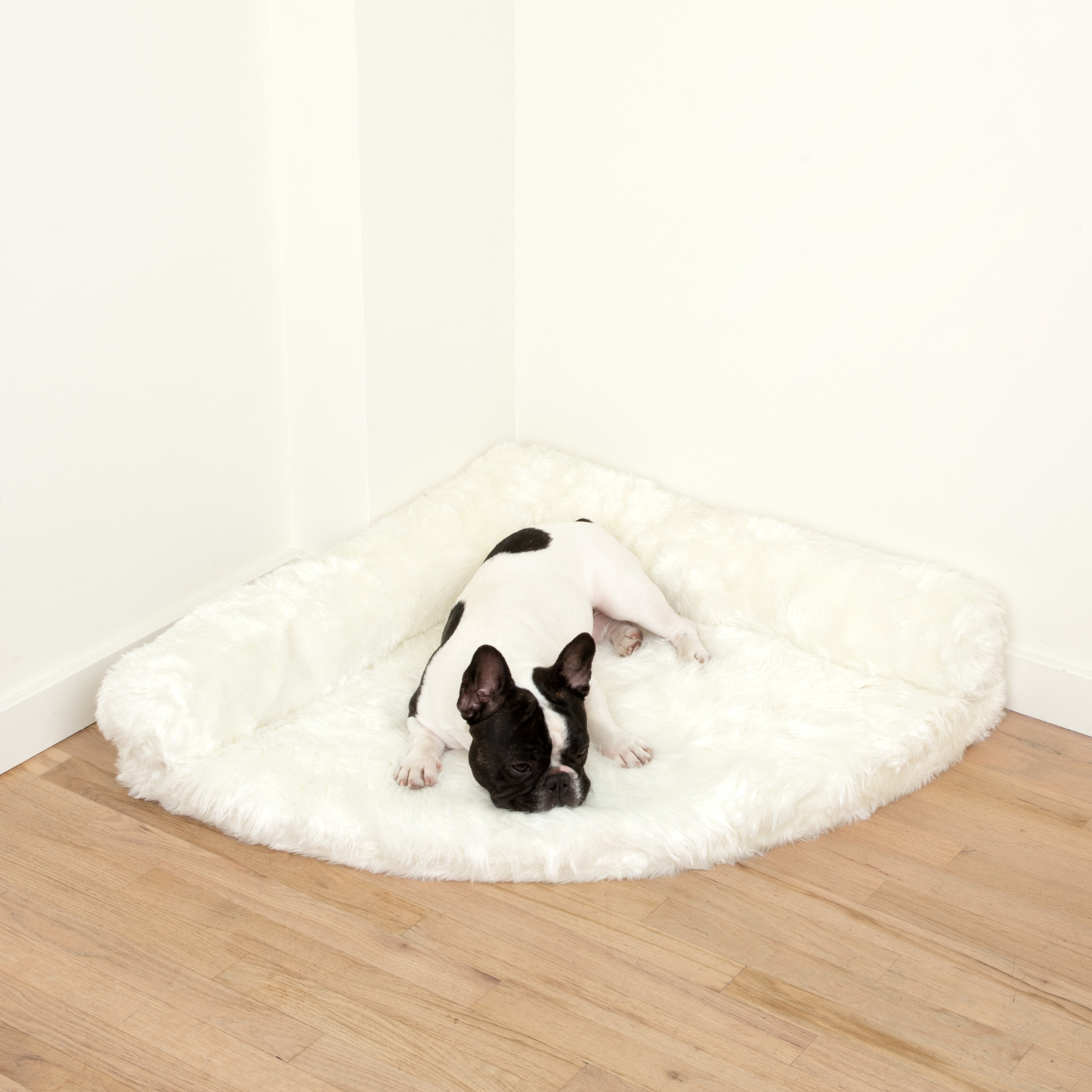 PupRug™ Memory Foam Corner Dog Bed - Polar White、mySite、solidvoid