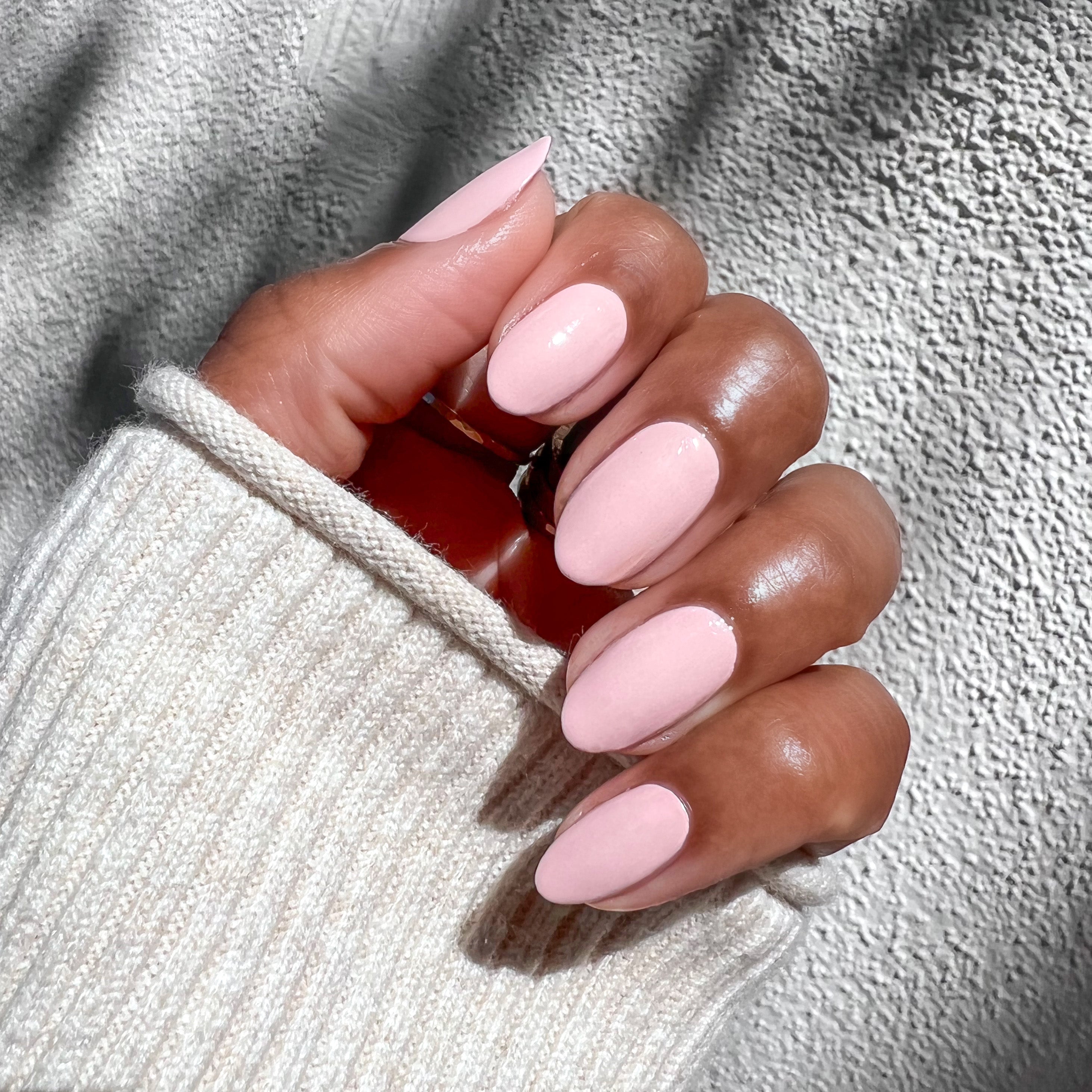 Pointe、mySite、solidvoid