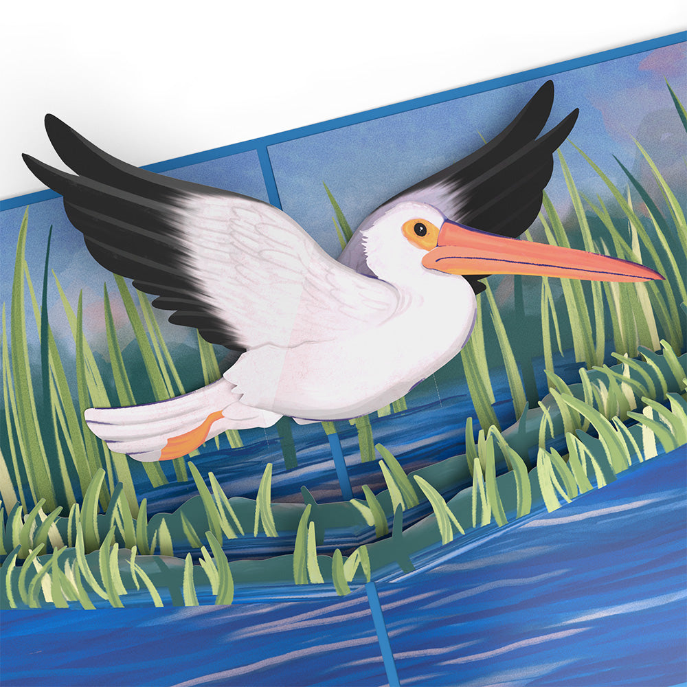 Pelican in the Marsh Pop-Up Card、mySite、solidvoid