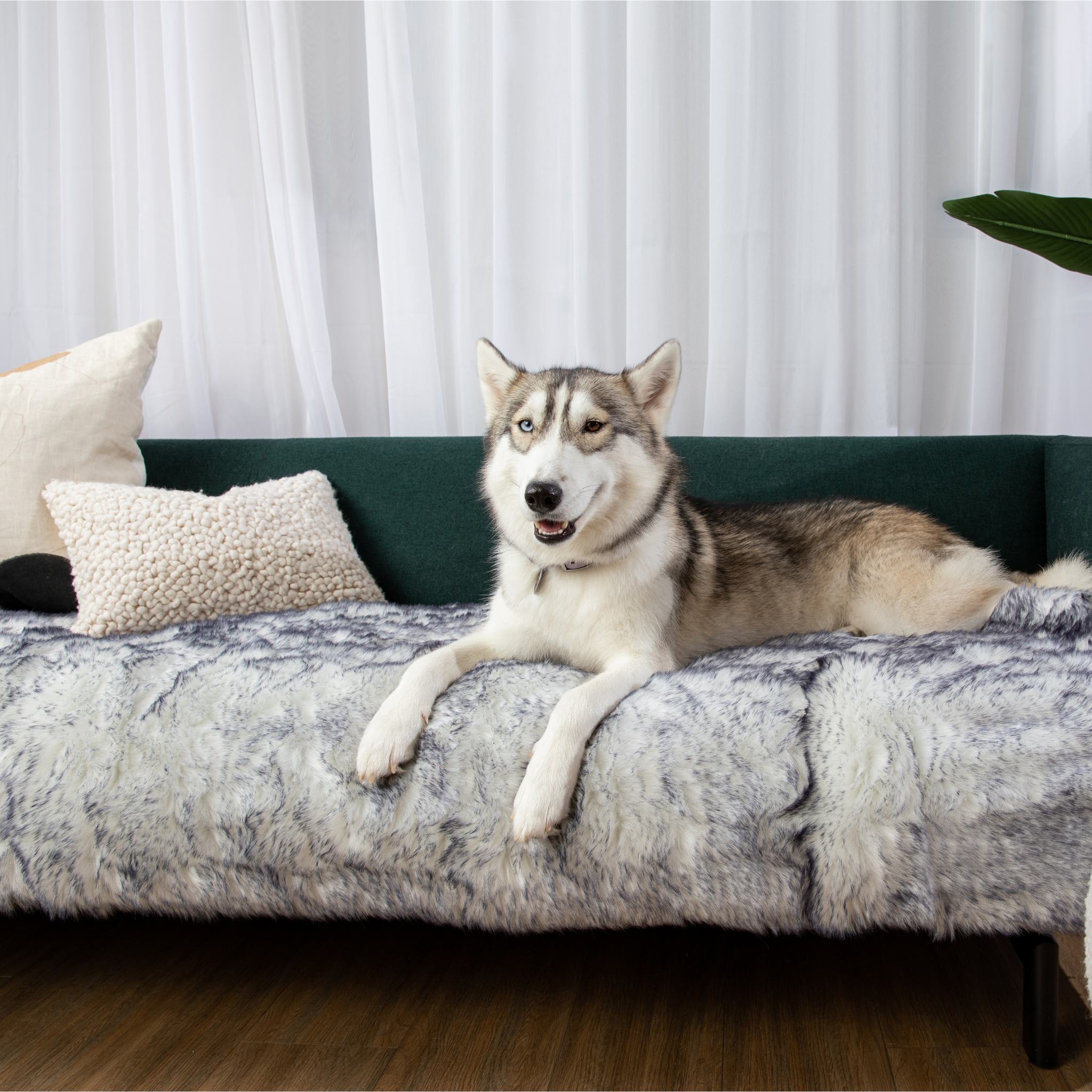 PupProtector™ Luxe Waterproof Bed Runner - Ultra Plush Arctic Fox、mySite、solidvoid