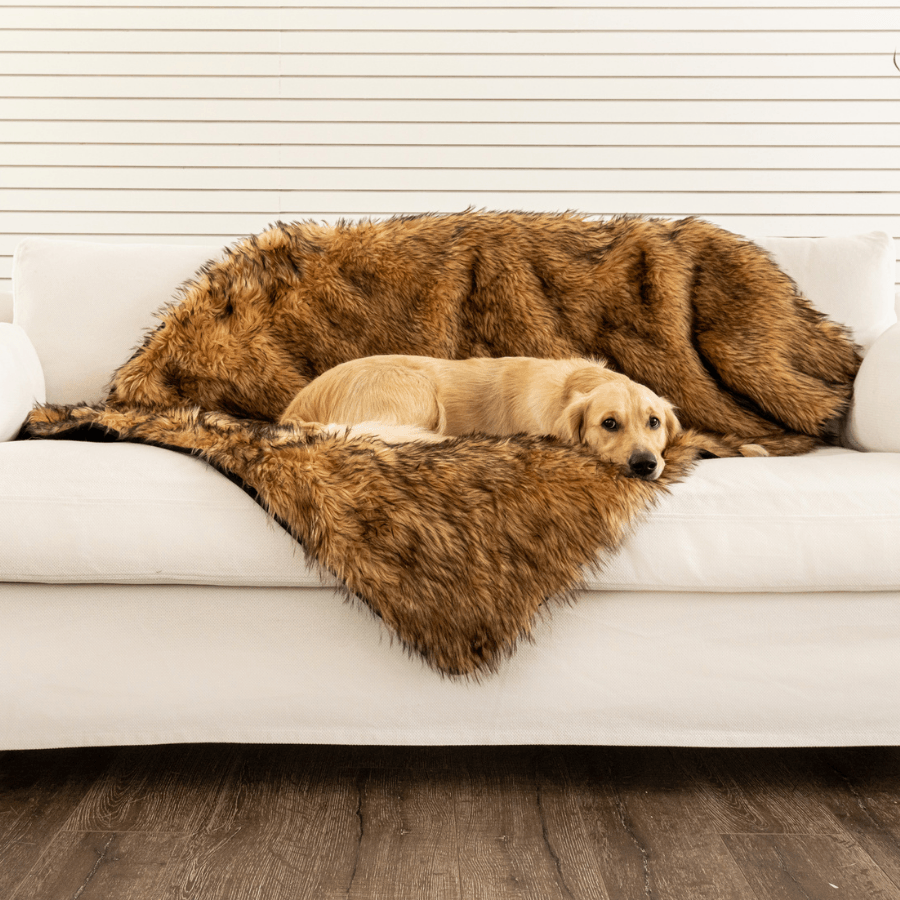 PupProtector™ Waterproof Throw Blanket - Sable Tan、mySite、solidvoid