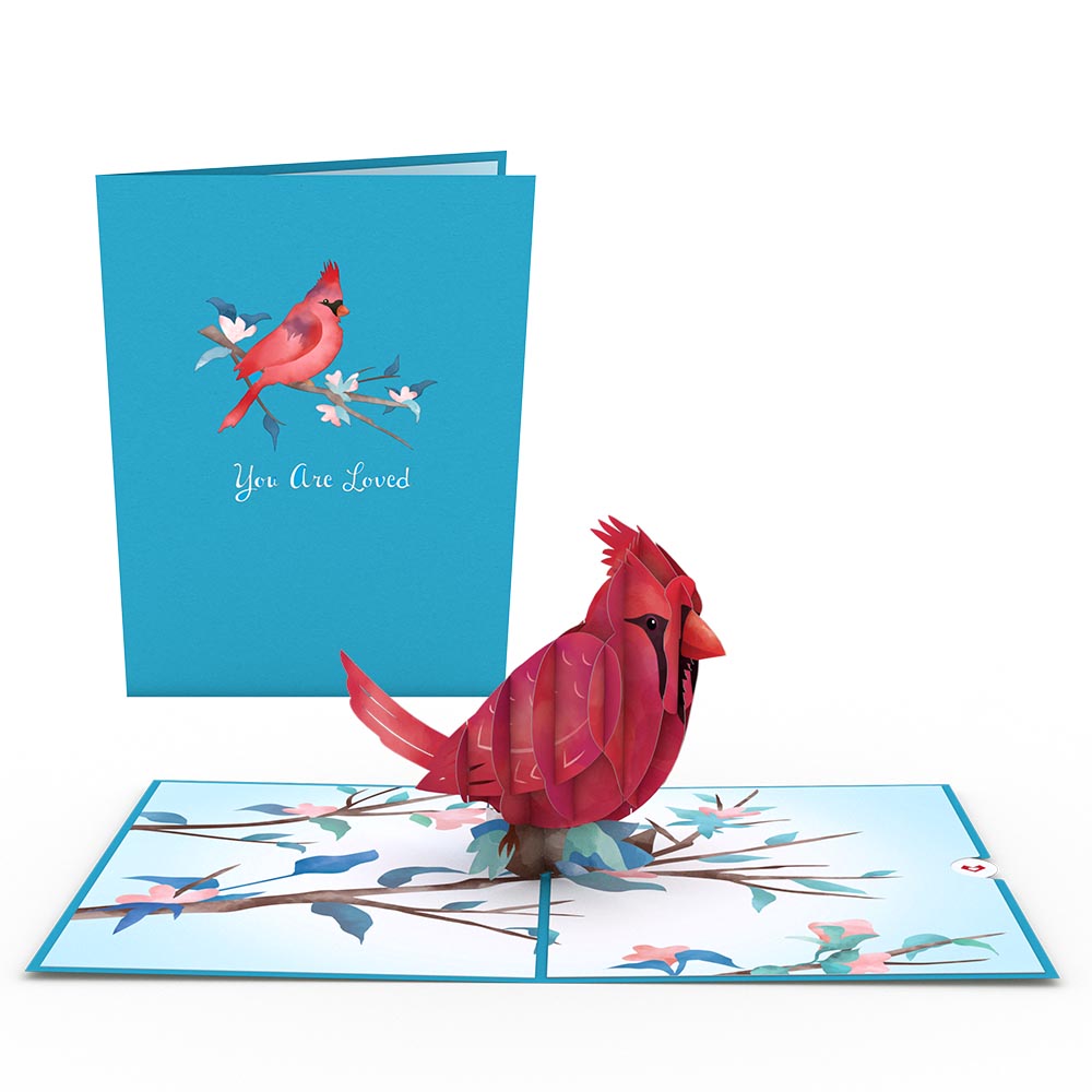 Love Cardinal Pop-Up Card、mySite、solidvoid
