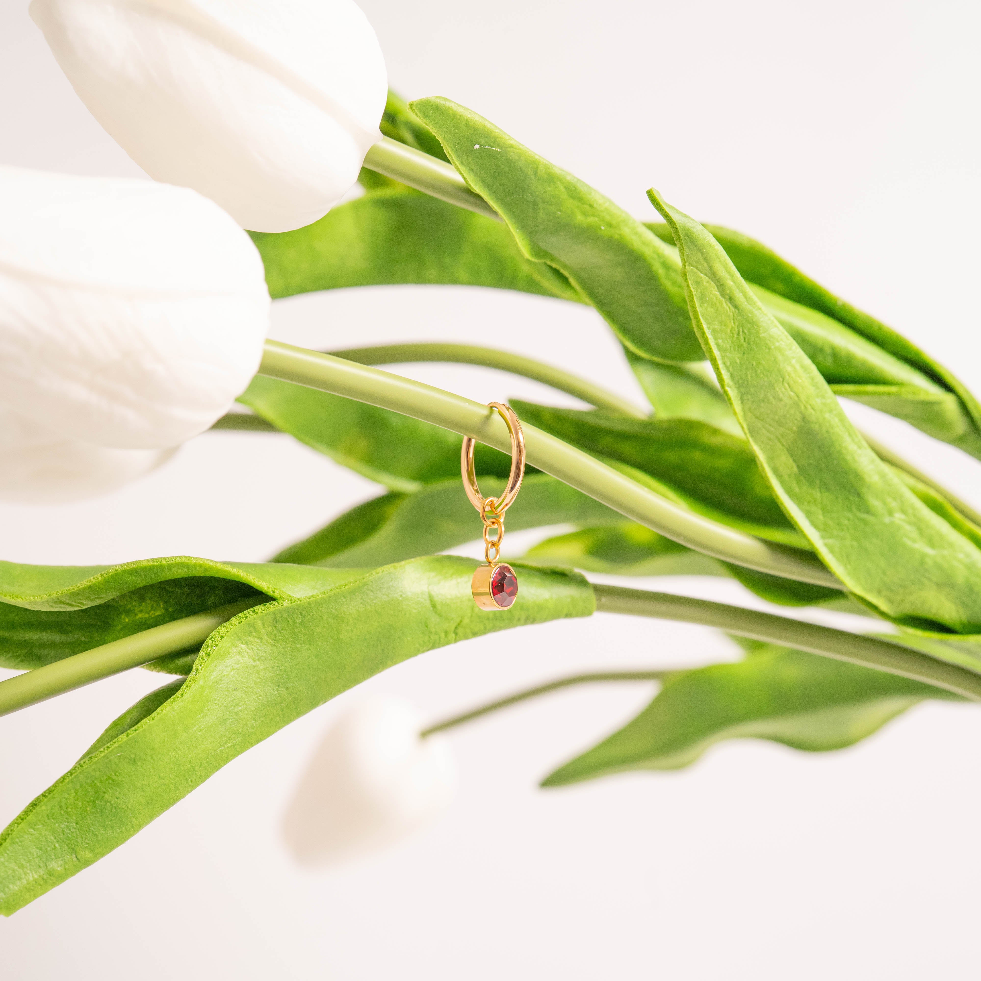 18K Gold PVD Birthstone Huggie Earrings / ERJ0074、mySite、dreamappss