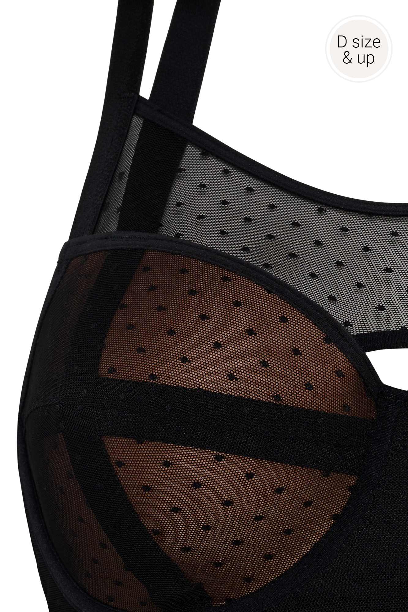 plunge balcony body、mySite、bengalsvssteelers