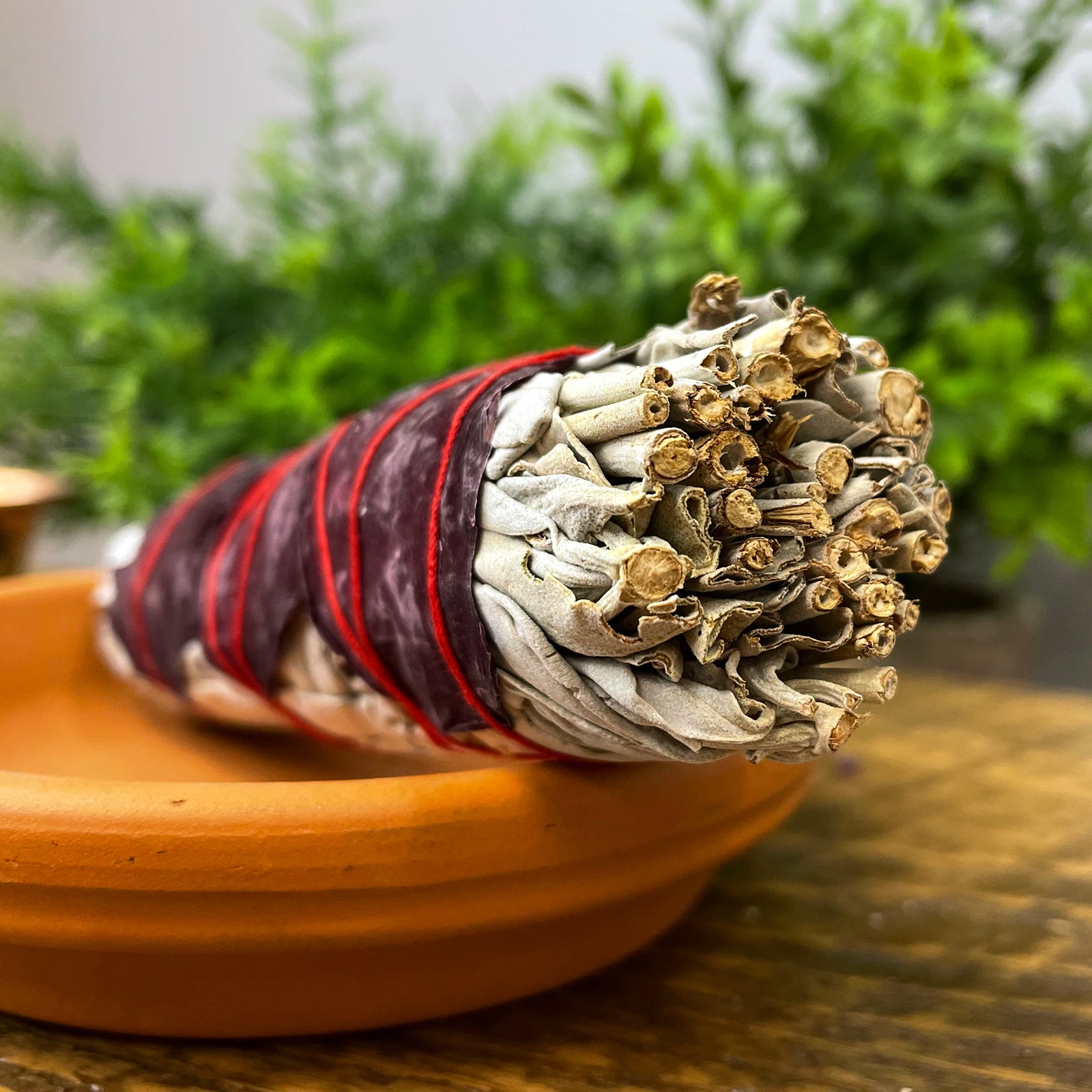 White Sage with Flowers、mySite、topwebapps