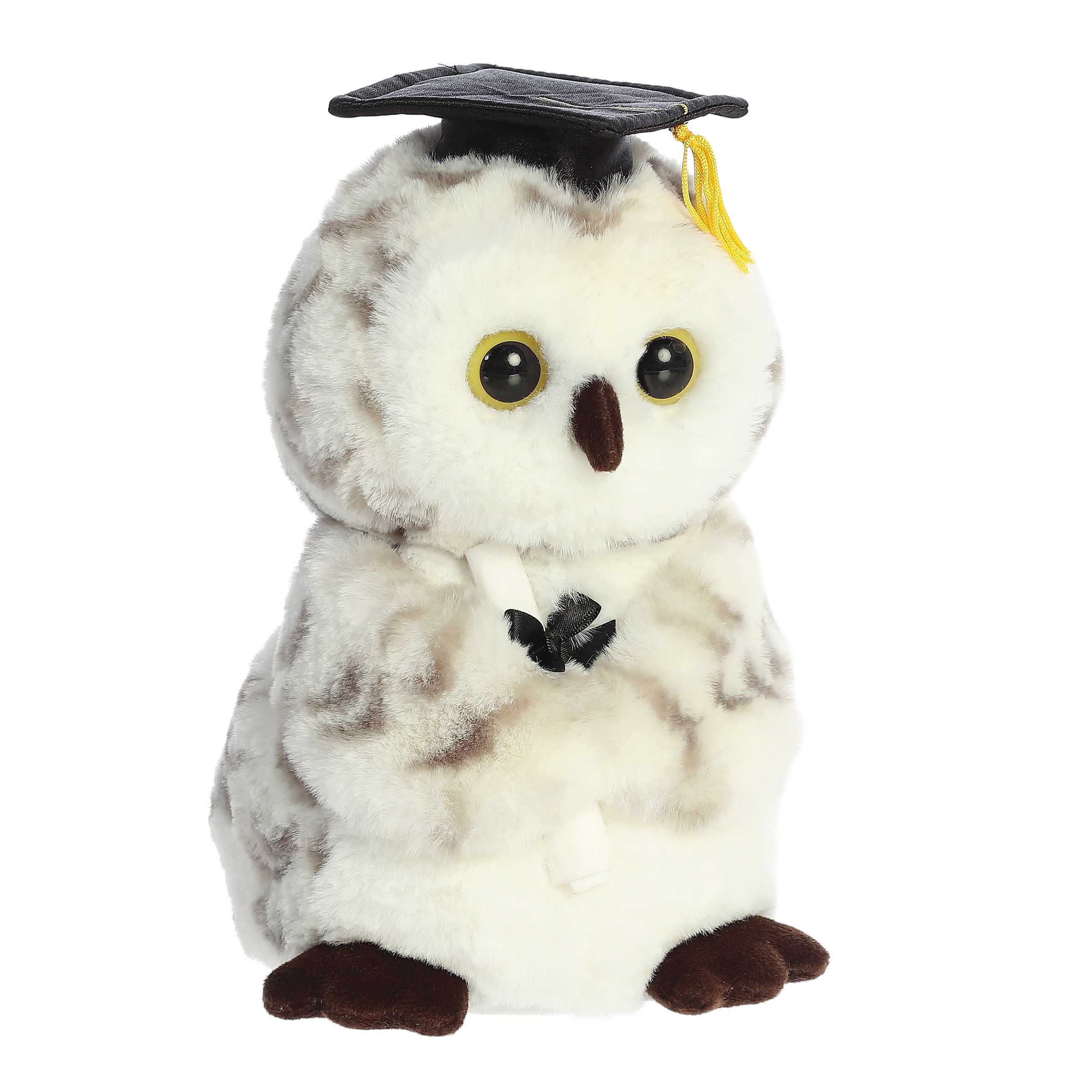 Aurora® - Graduation - 9 Smart Owl™、mySite、g9winljtr