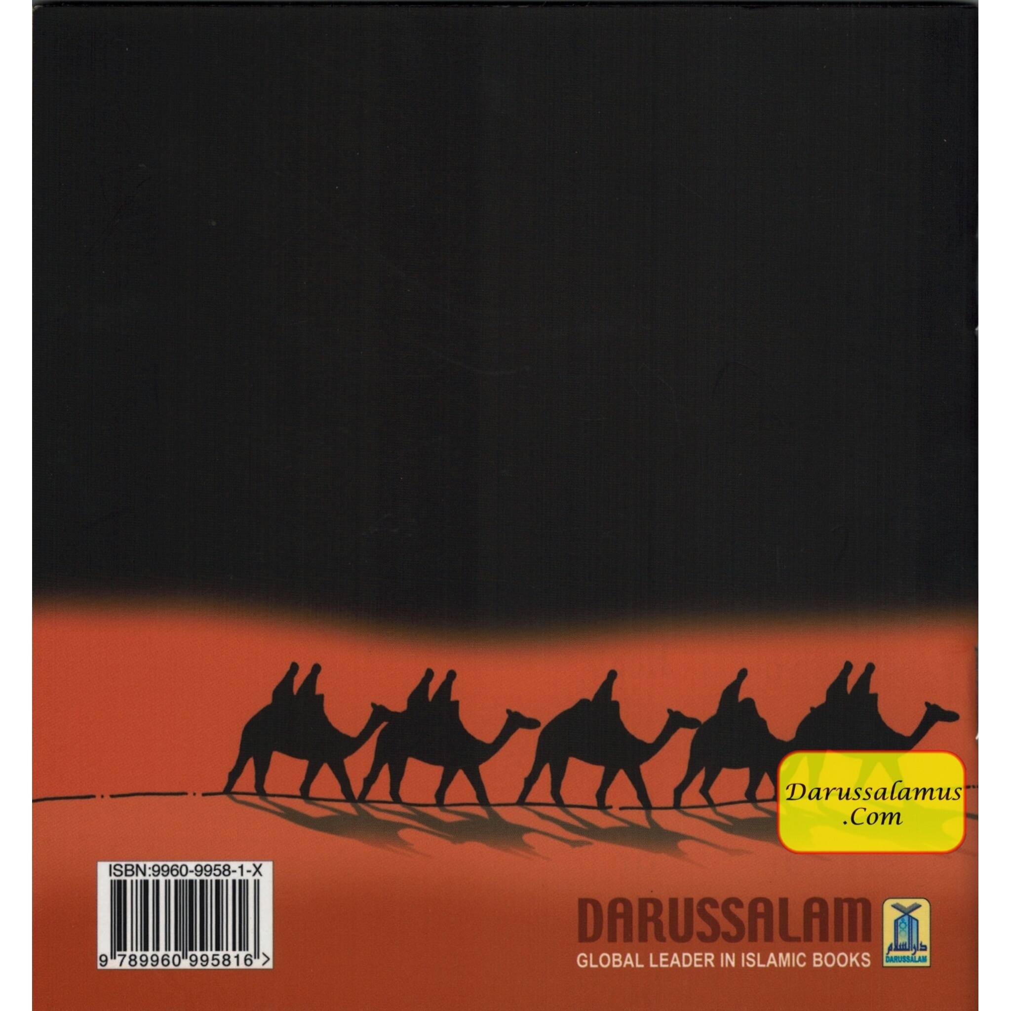 The Story of Muhammad (SAW) in Madina By Abu Zahir (Stories Of The Prophets)、mySite、topwebapps