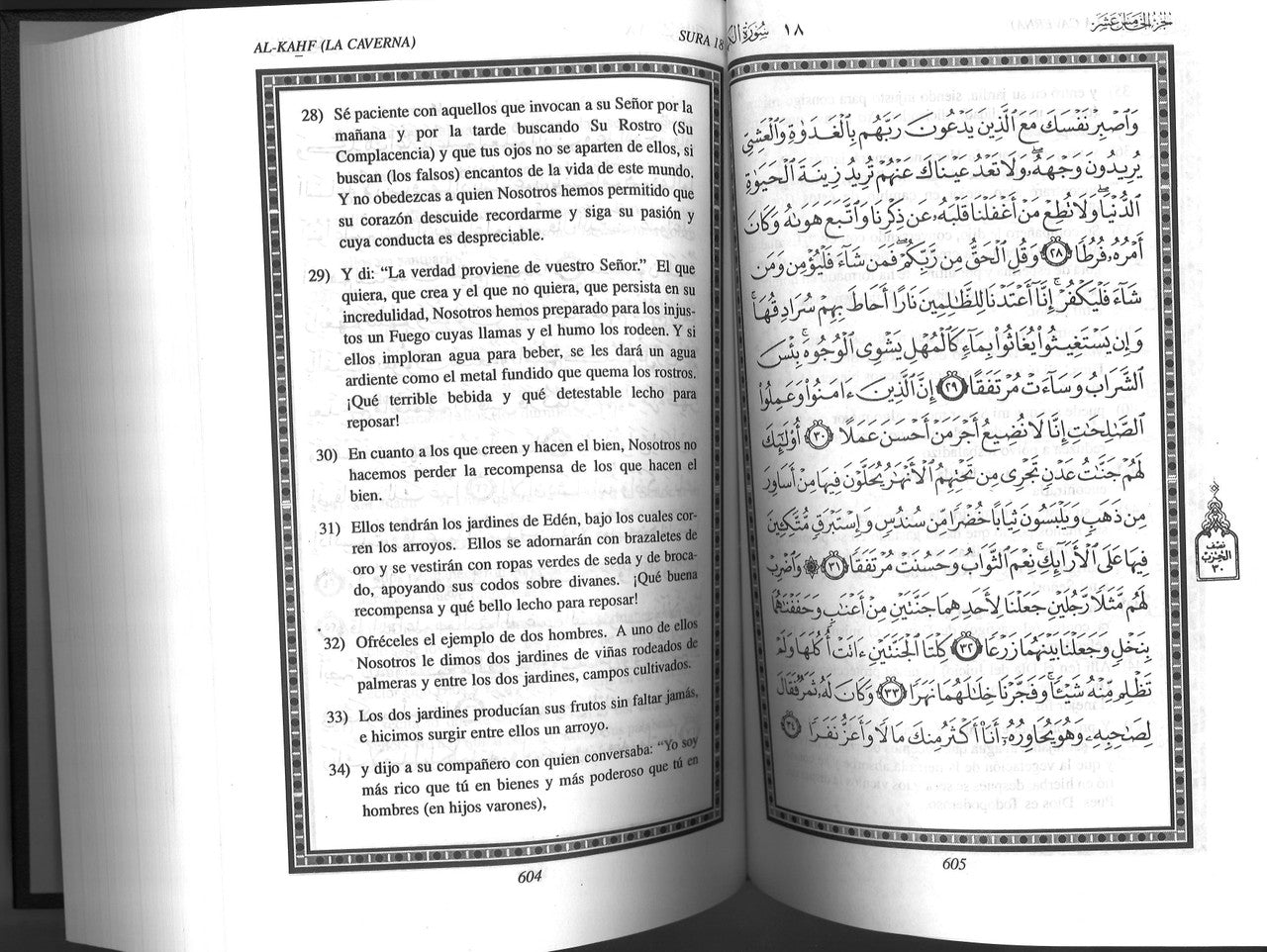 El Coran Sagrado BULK、mySite、topwebapps