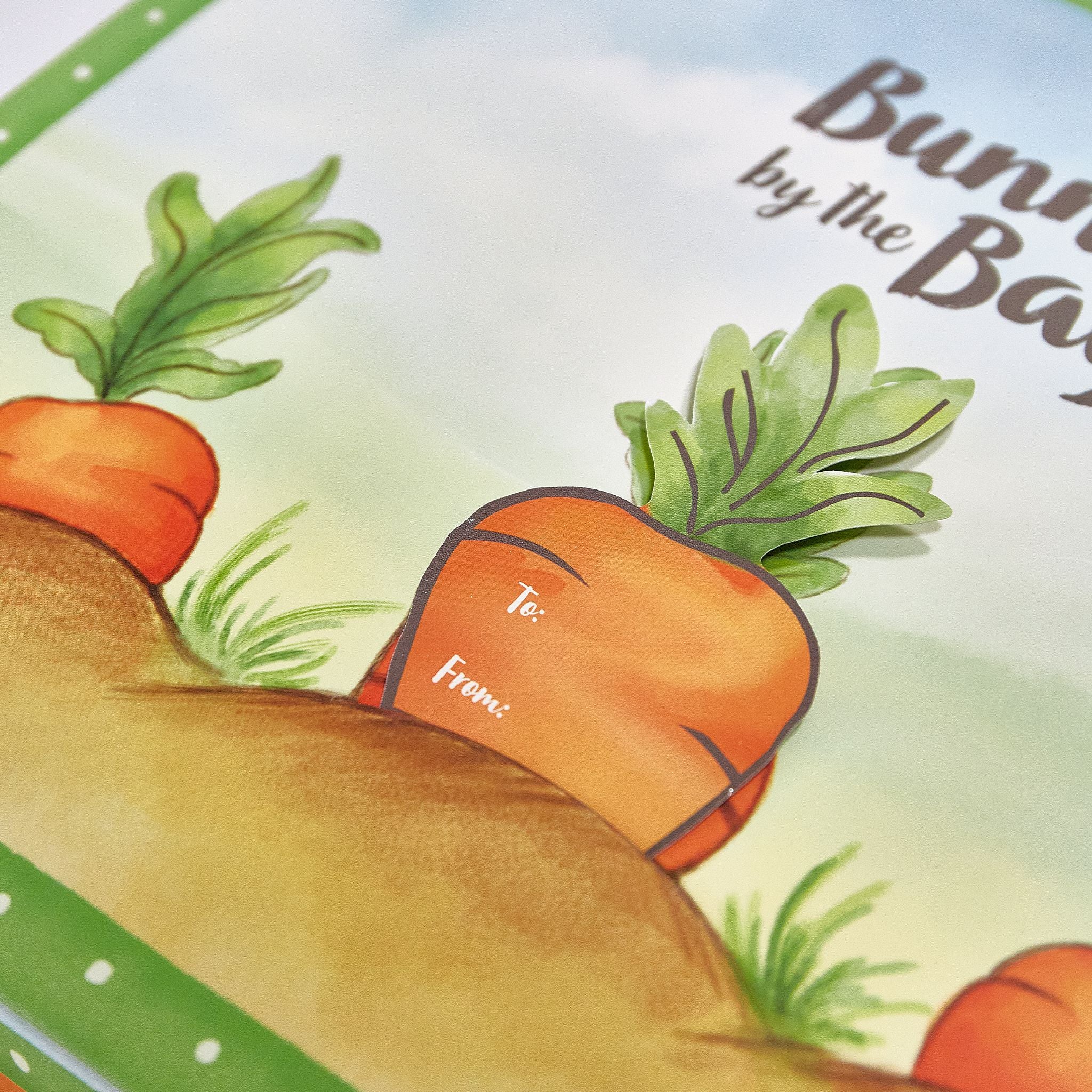 RETIRED - Camp Cricket - Wee Bruce Baby Gift Set、mySite、g9winljtr