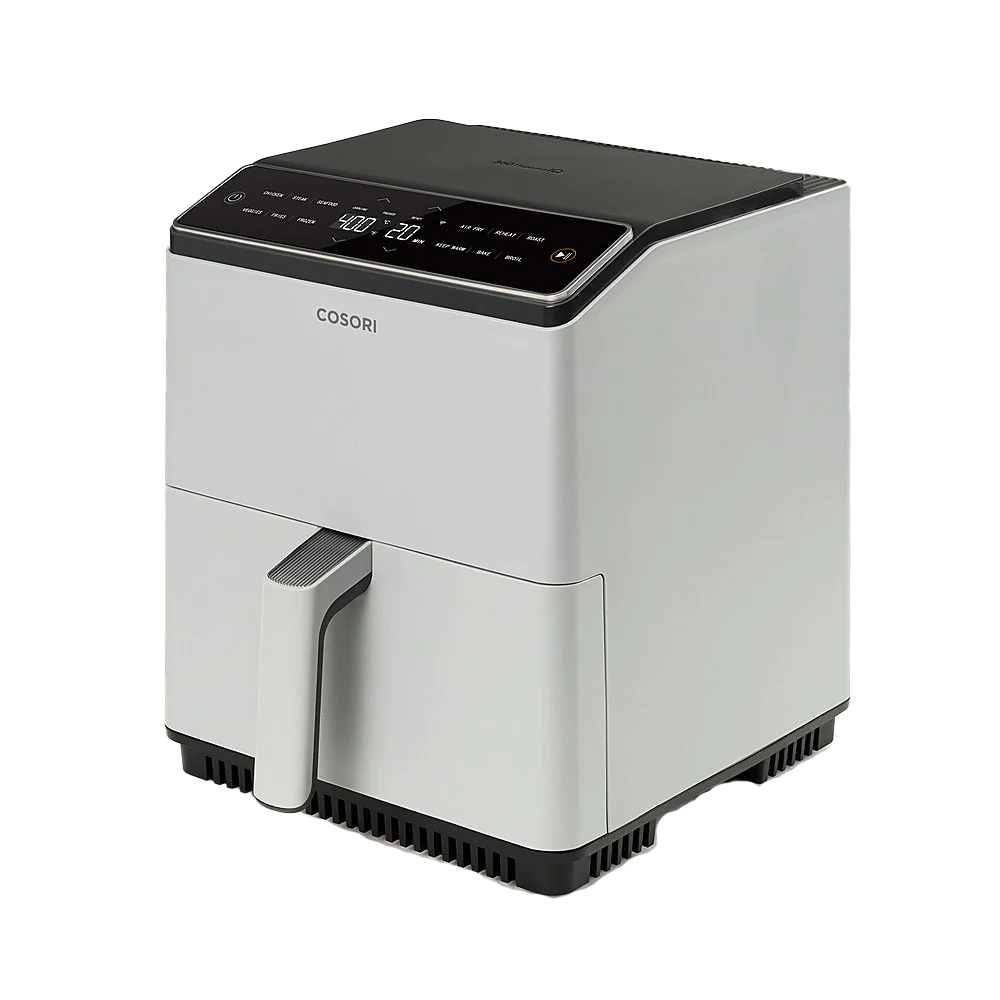 Dual Blaze 6.8-Quart Smart Air Fryer - Gray、mySite、fannypackpong