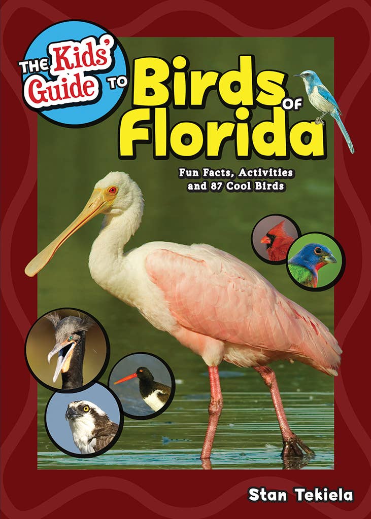 Kids Guide to Birds of Florida Book-Beautiful Photos!、mySite、g9winljtr