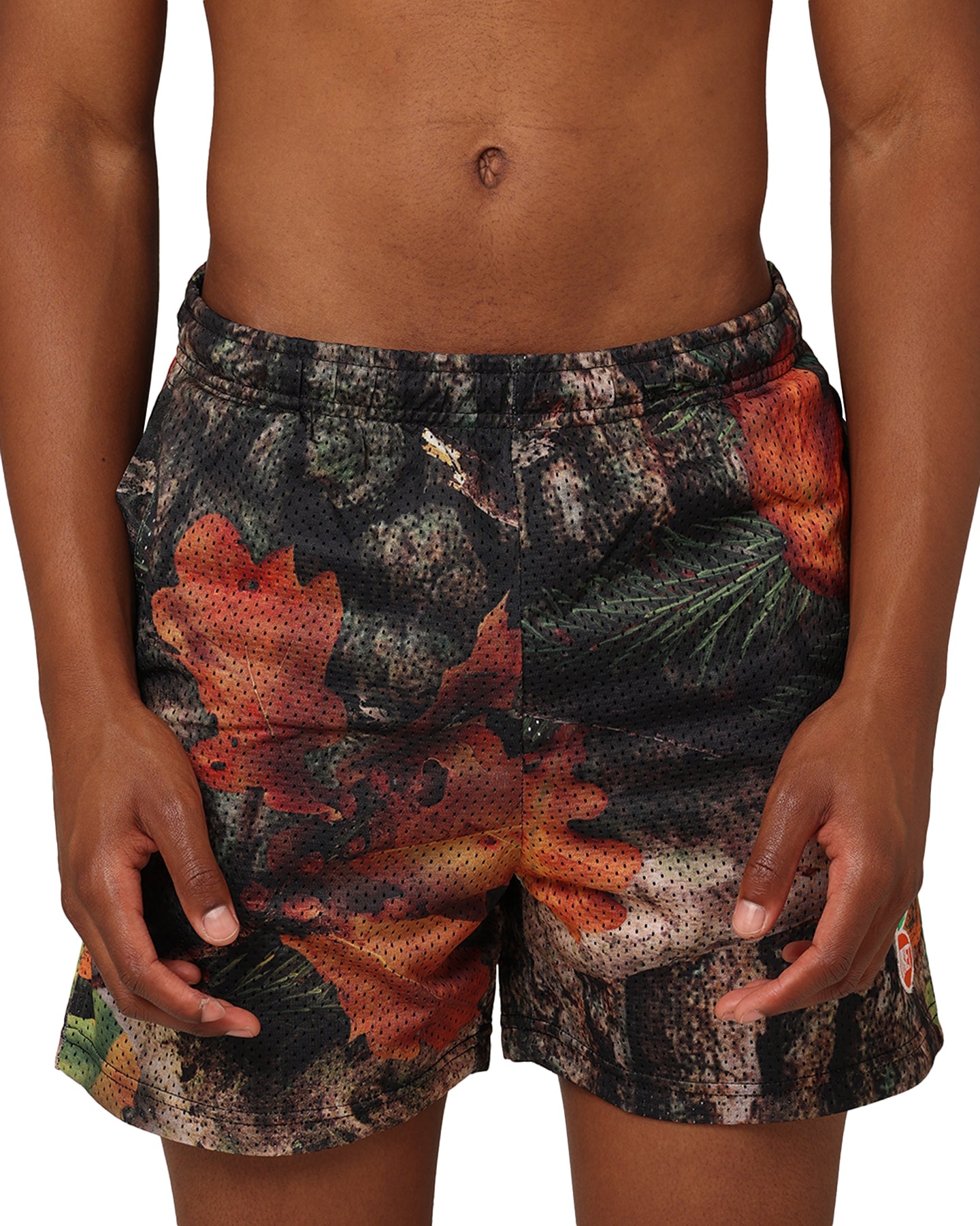 Market Faux Tree Mesh Shorts Multi、mySite、zt4zffjzw