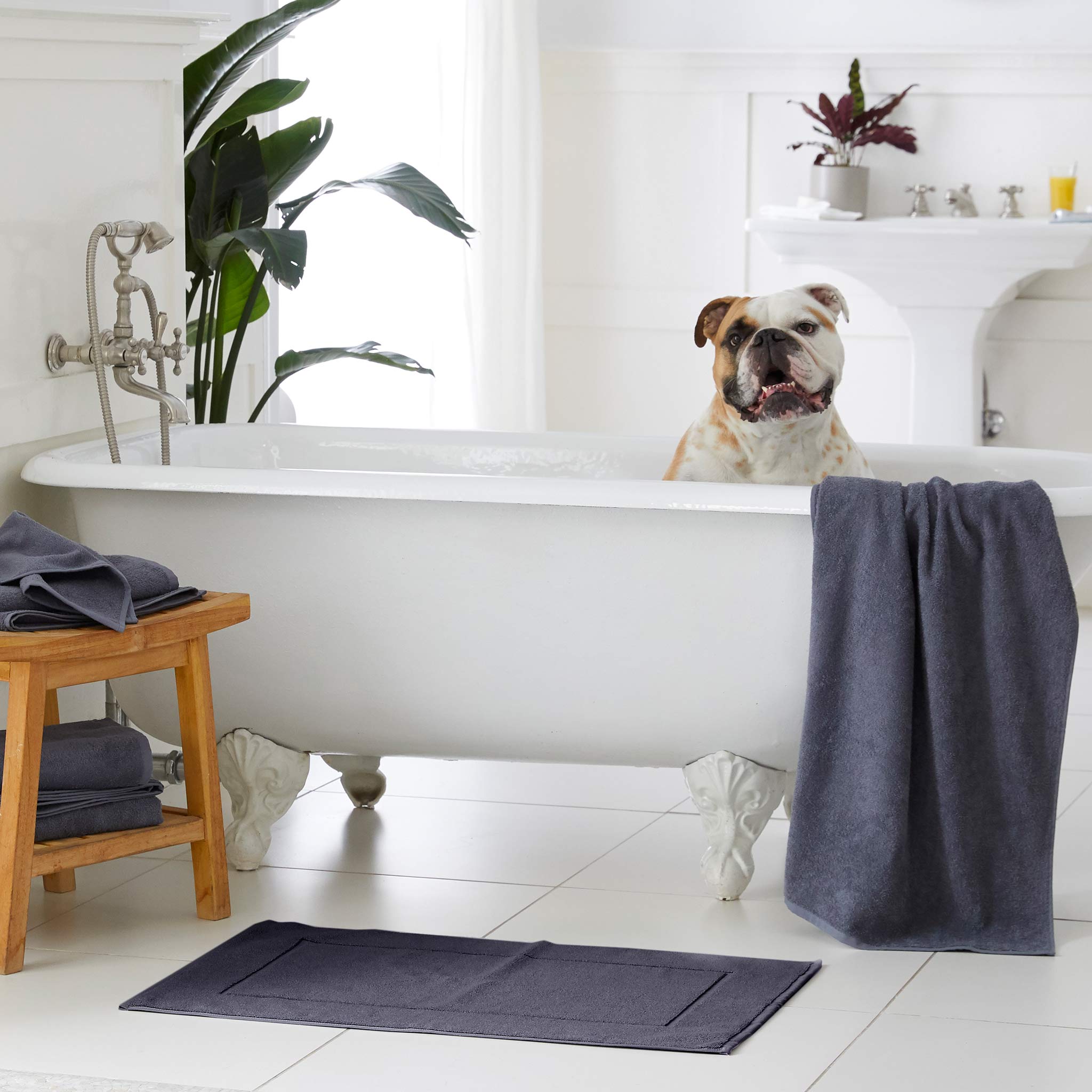  Ultralight Bath Sheets - Last Call、mySite、sugarbowlscore