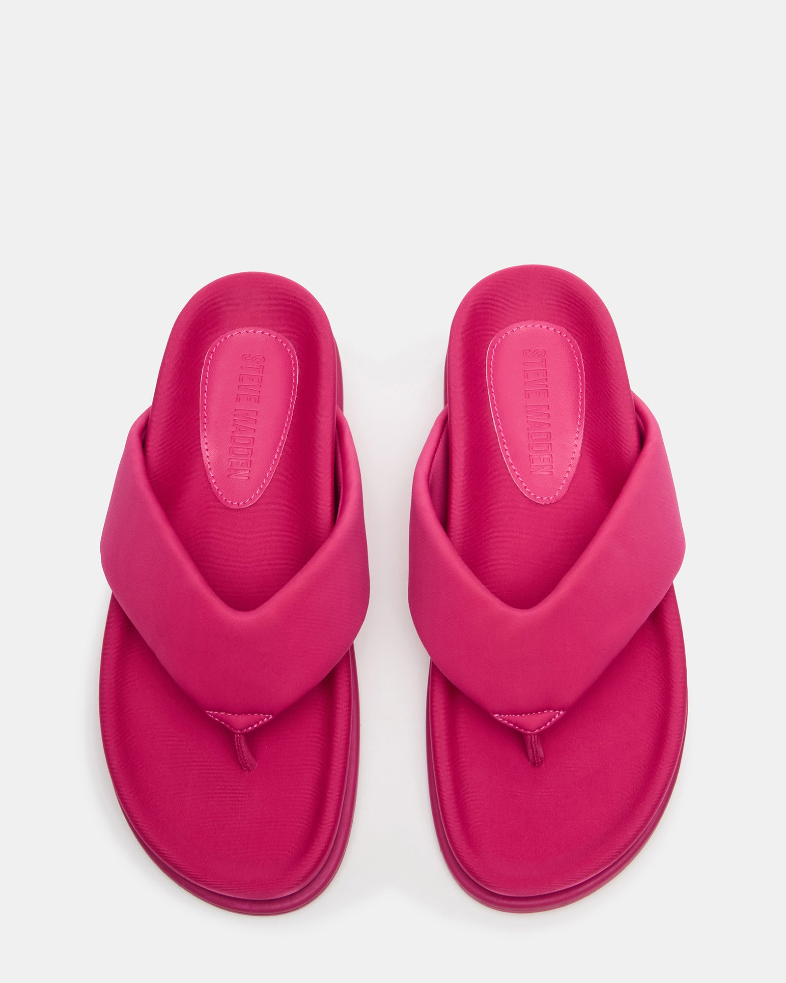 ZINNIA PINK、mySite、gtrtttuynbv