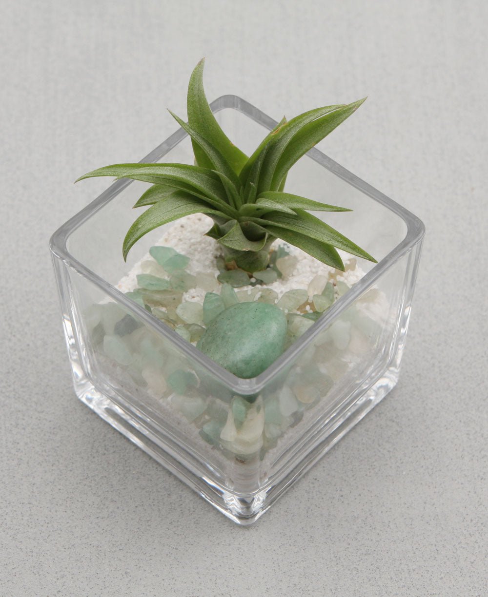 Gemstone Intention Terrarium with Air Plant、mySite、topwebapps