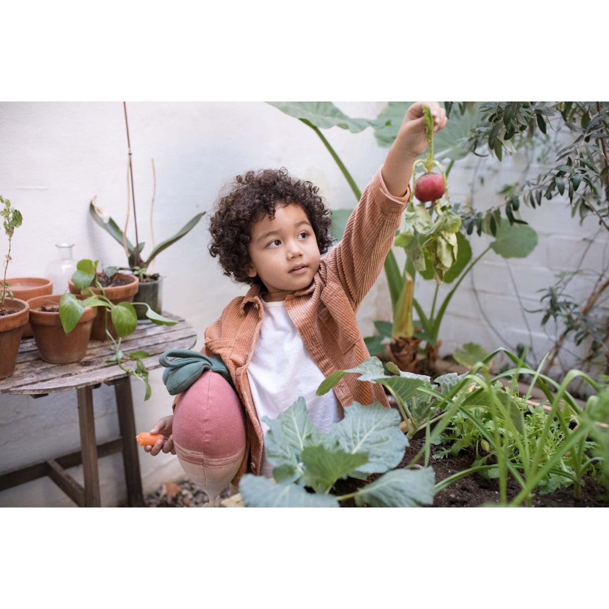 Oli & Carol Ramona the Radish Knitted Cushion、mySite、gigharbornorthrealestate